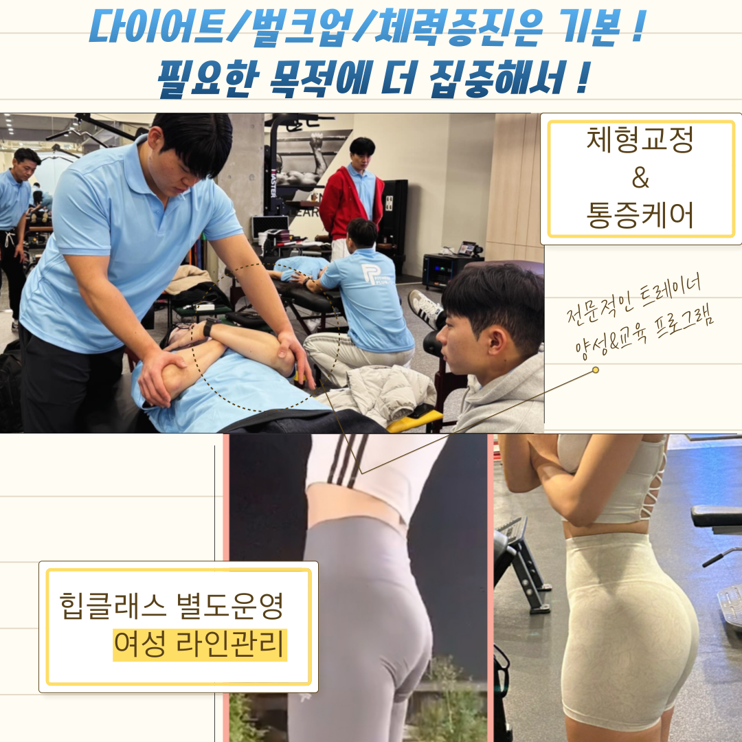 에프엘짐 강남구청점