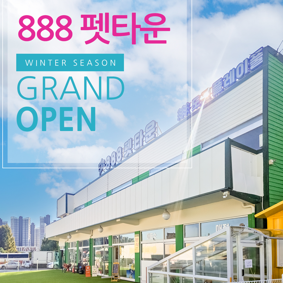 888 애견놀이터 대표 이미지