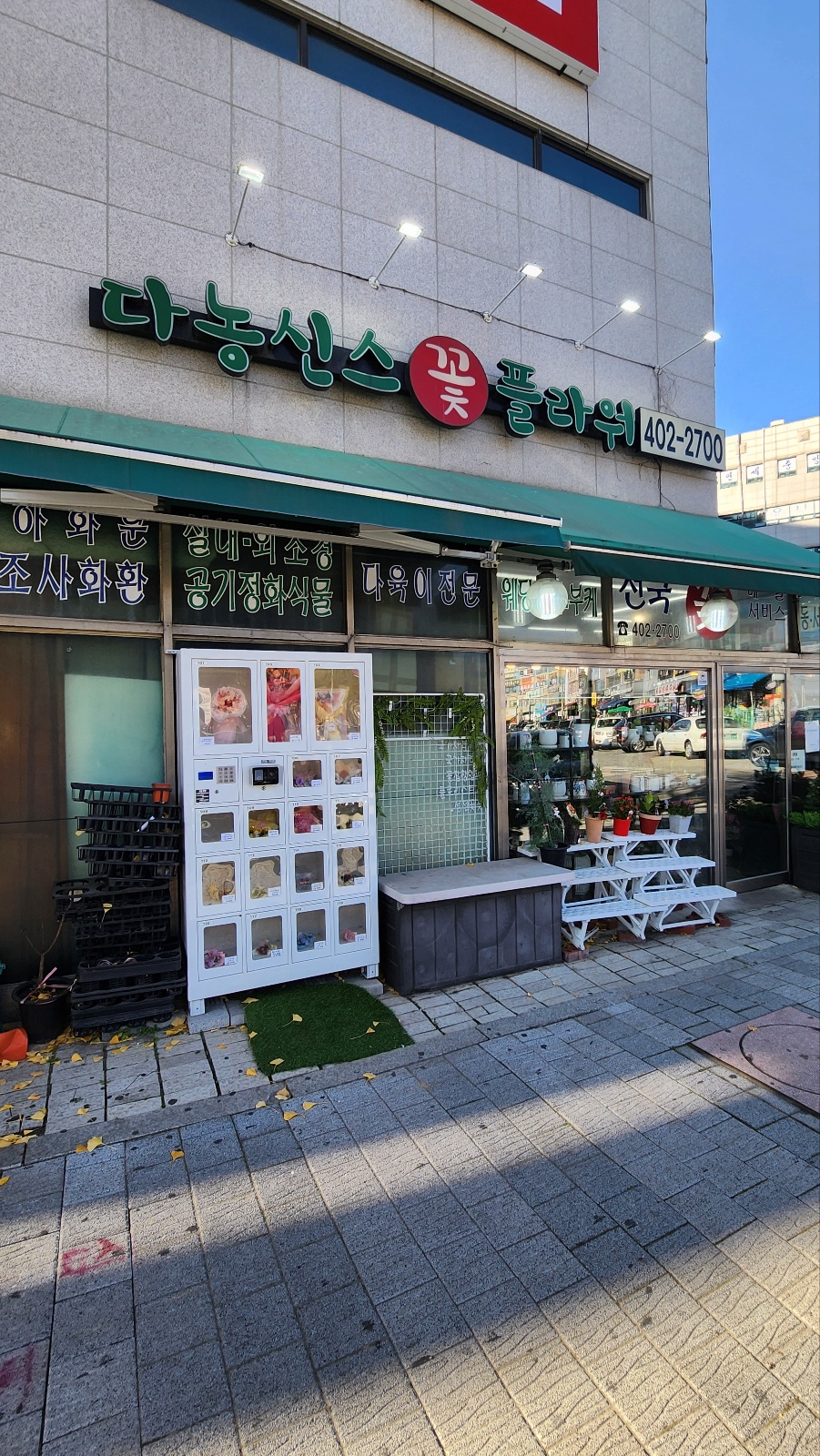 다농신스플라워