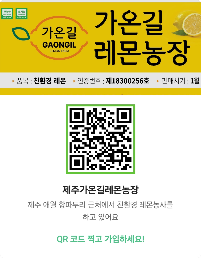 제이디피모터스 오라점