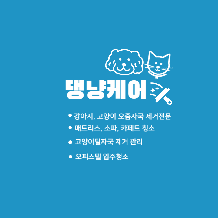 비치움 댕냥케어