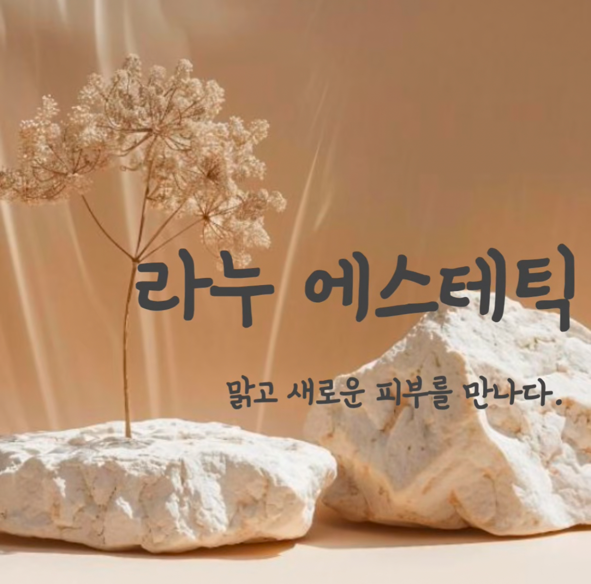 라누 에스테틱