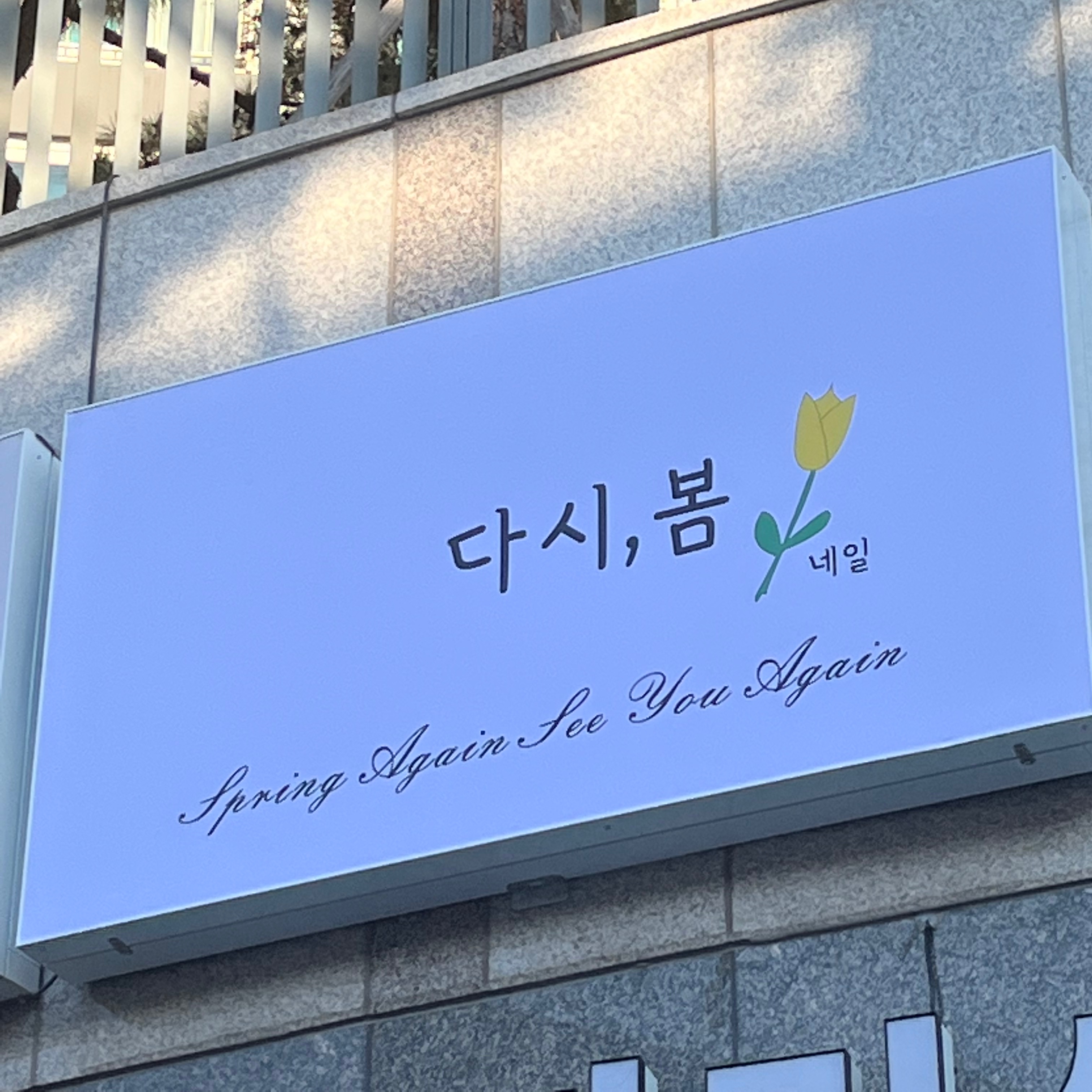다시봄네일