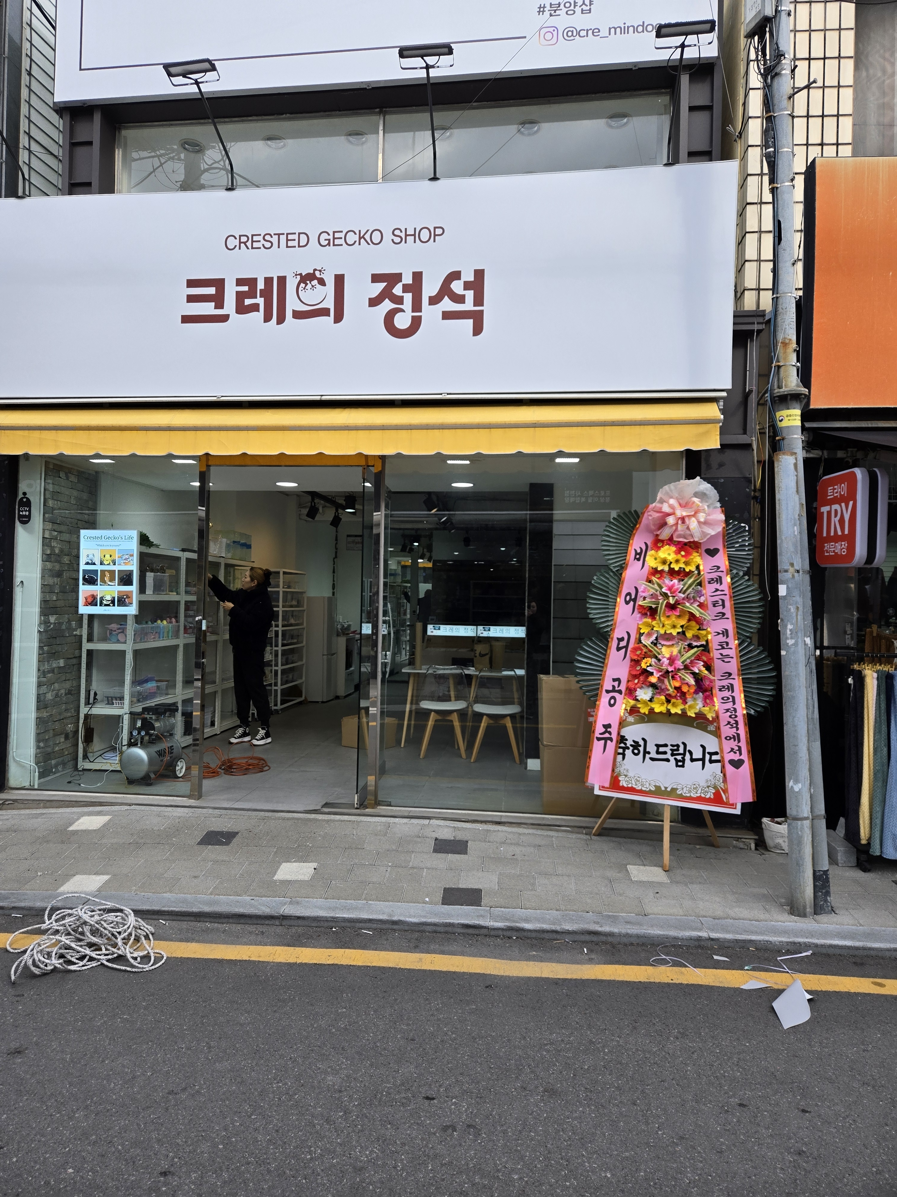 파충류샵크레의정석 대표 이미지