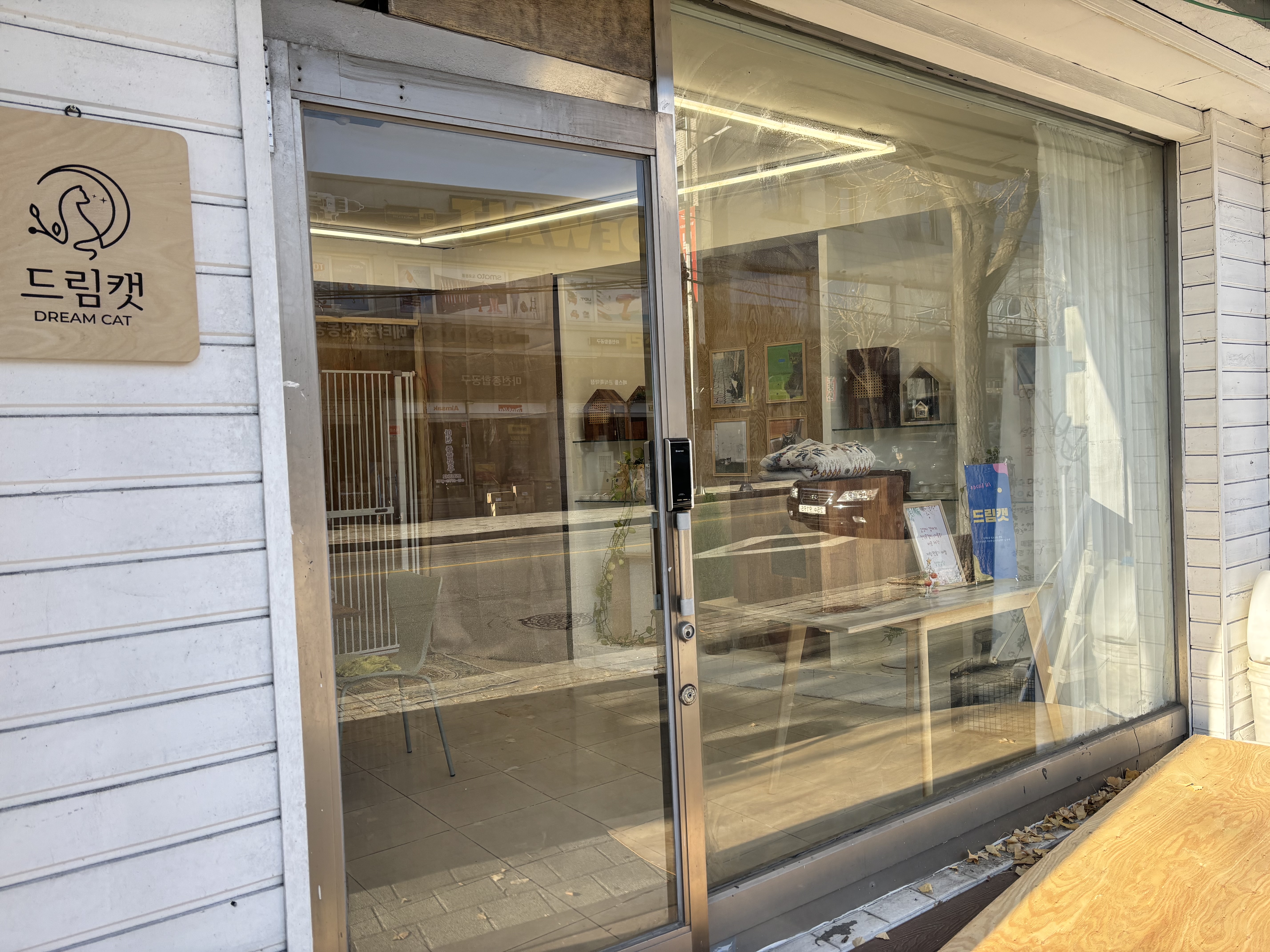 드림캣 대표 이미지