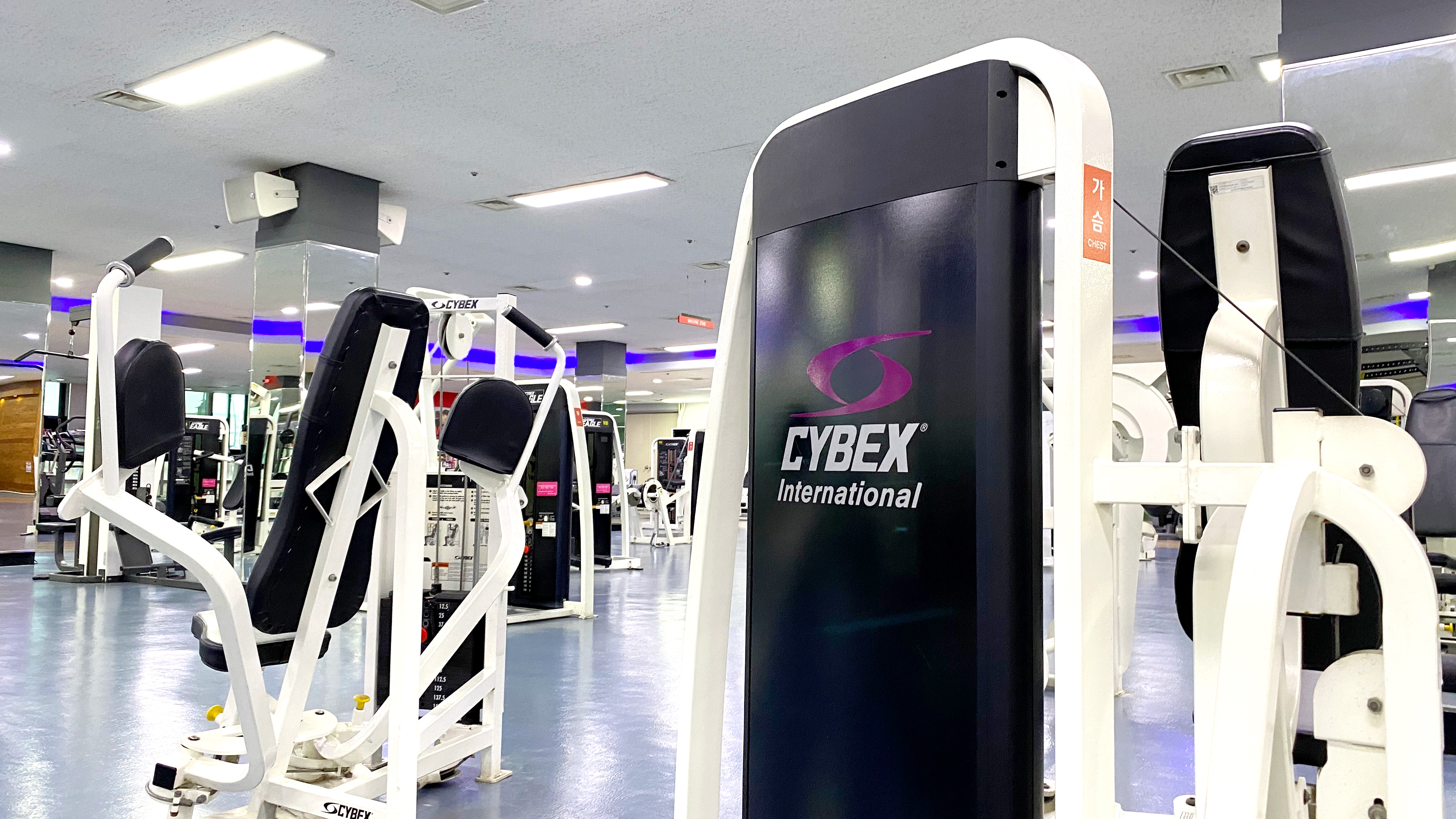 스포츠아일랜드 헬스장 대표 이미지