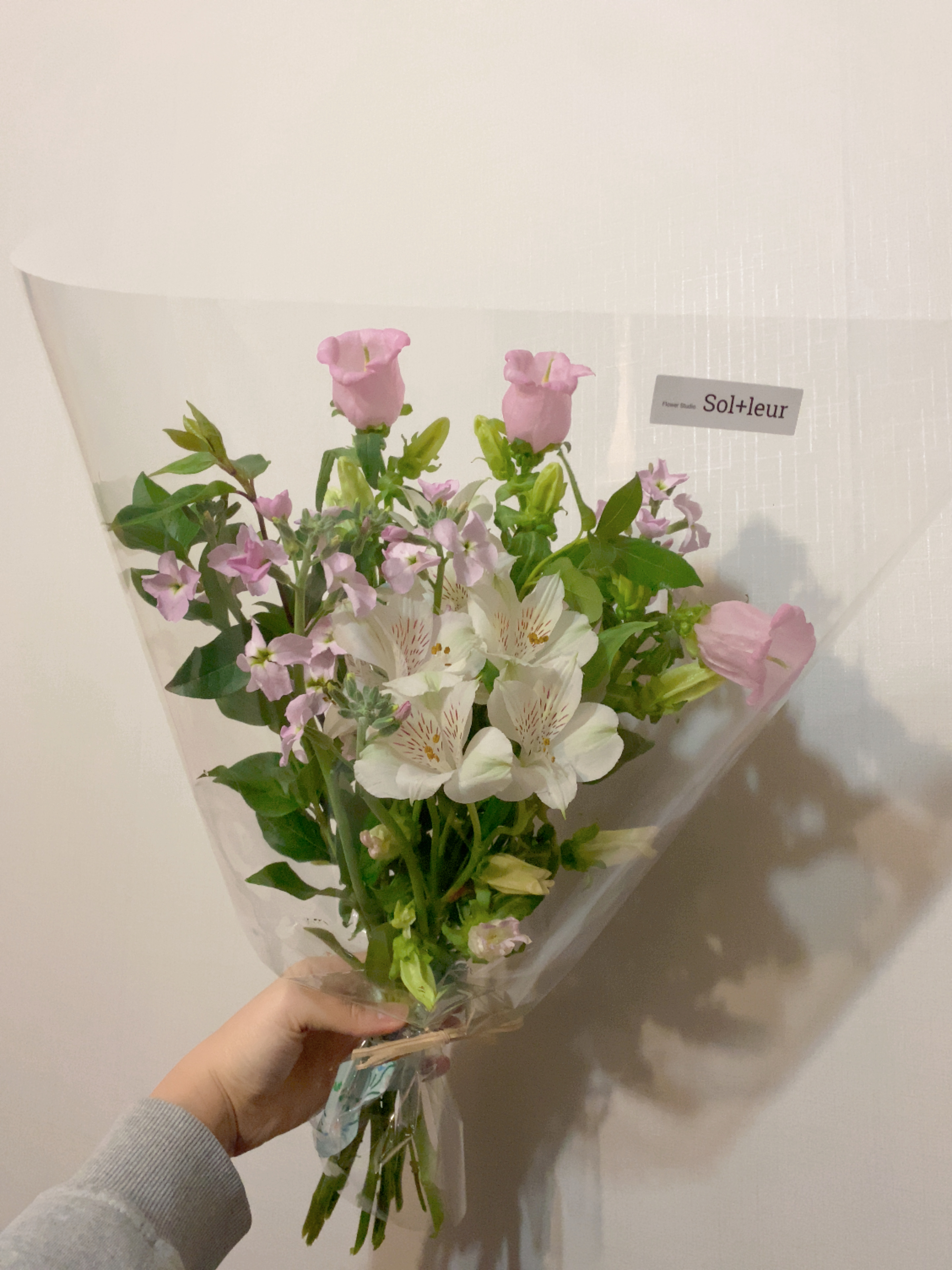 솔플레르