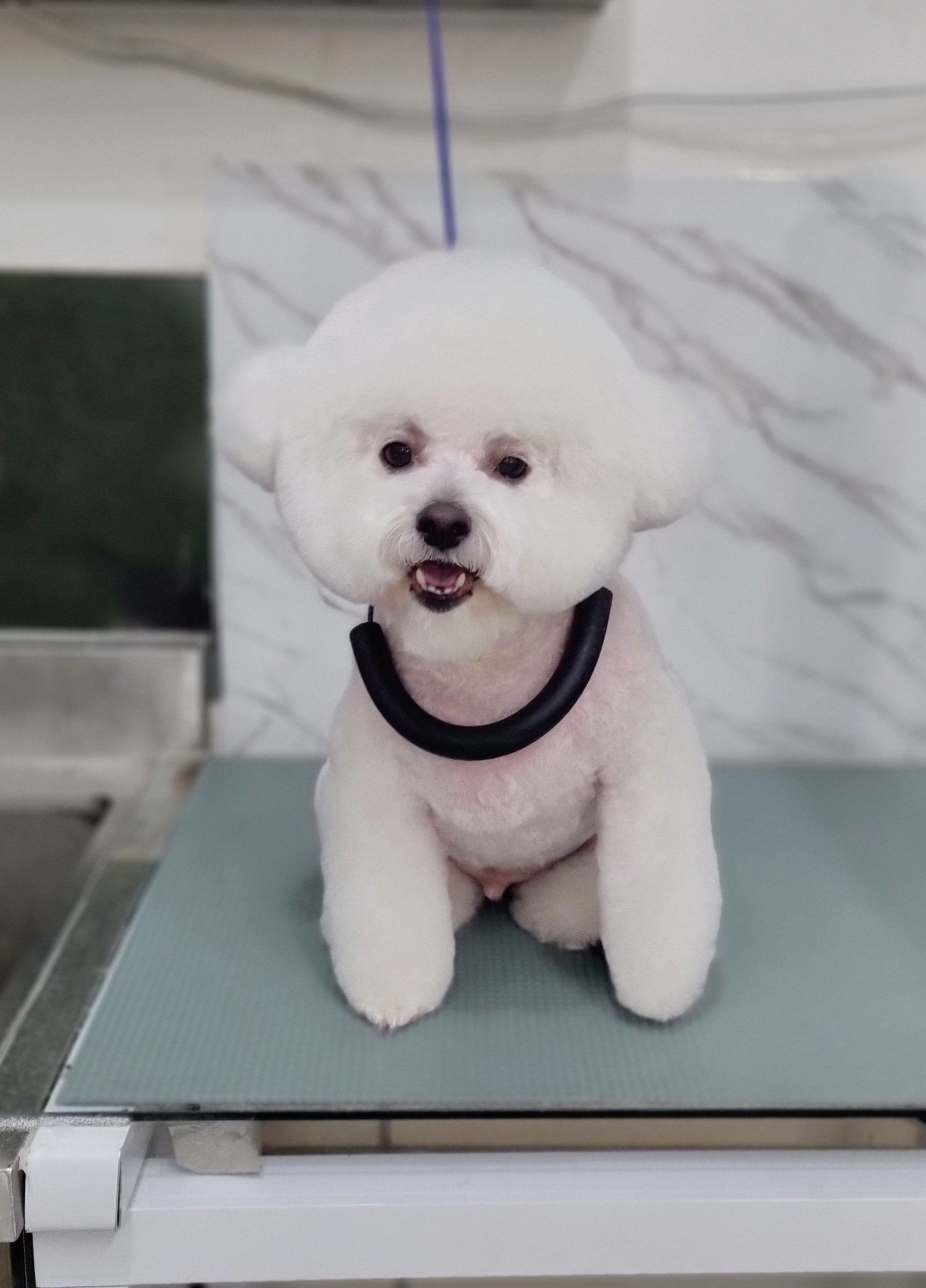 때빼고 광나개 대표 이미지