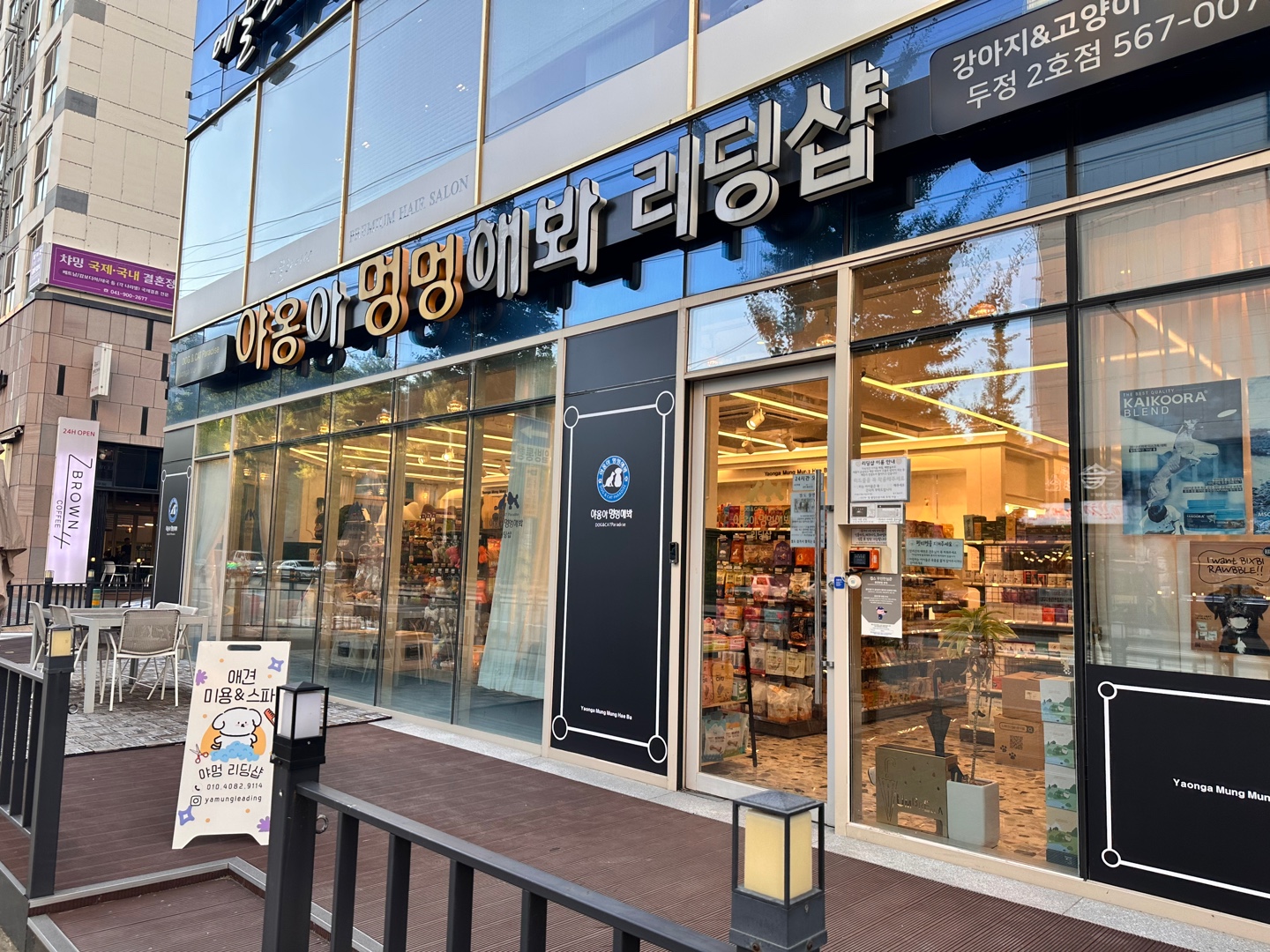 야옹아멍멍해봐 리딩샵 두정점
