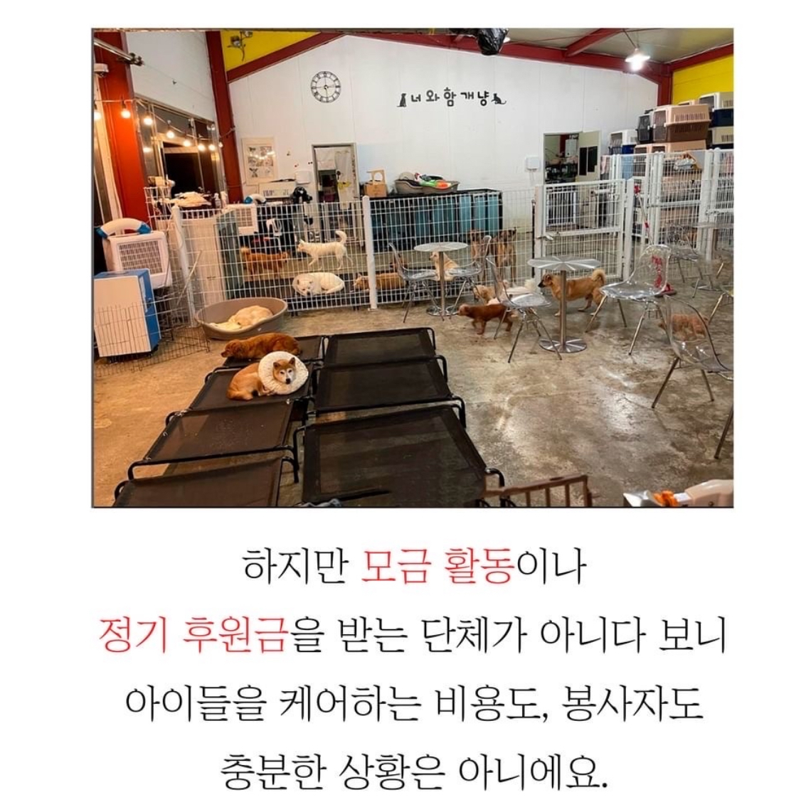 너와함개냥 2
