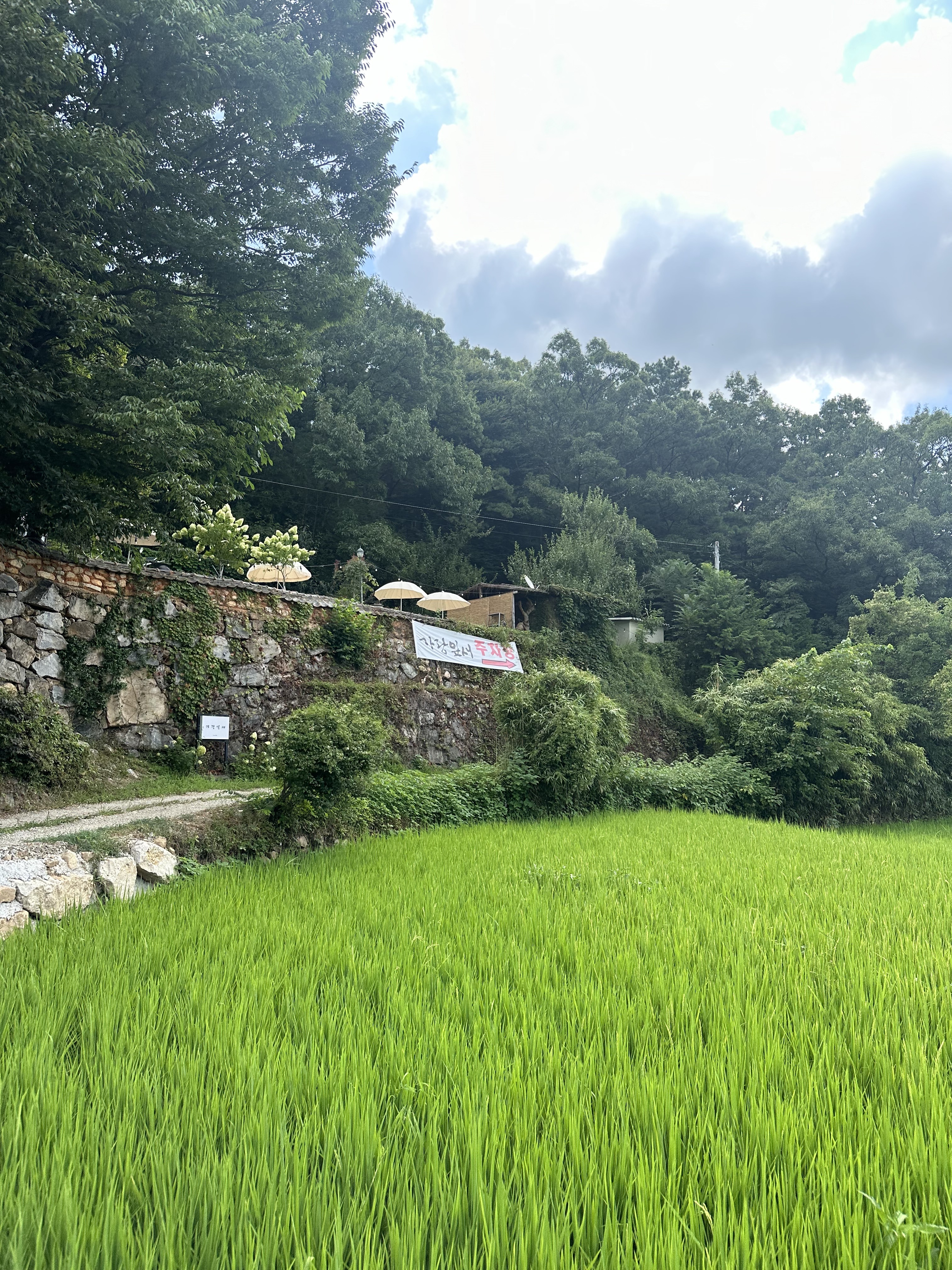 가랑잎새