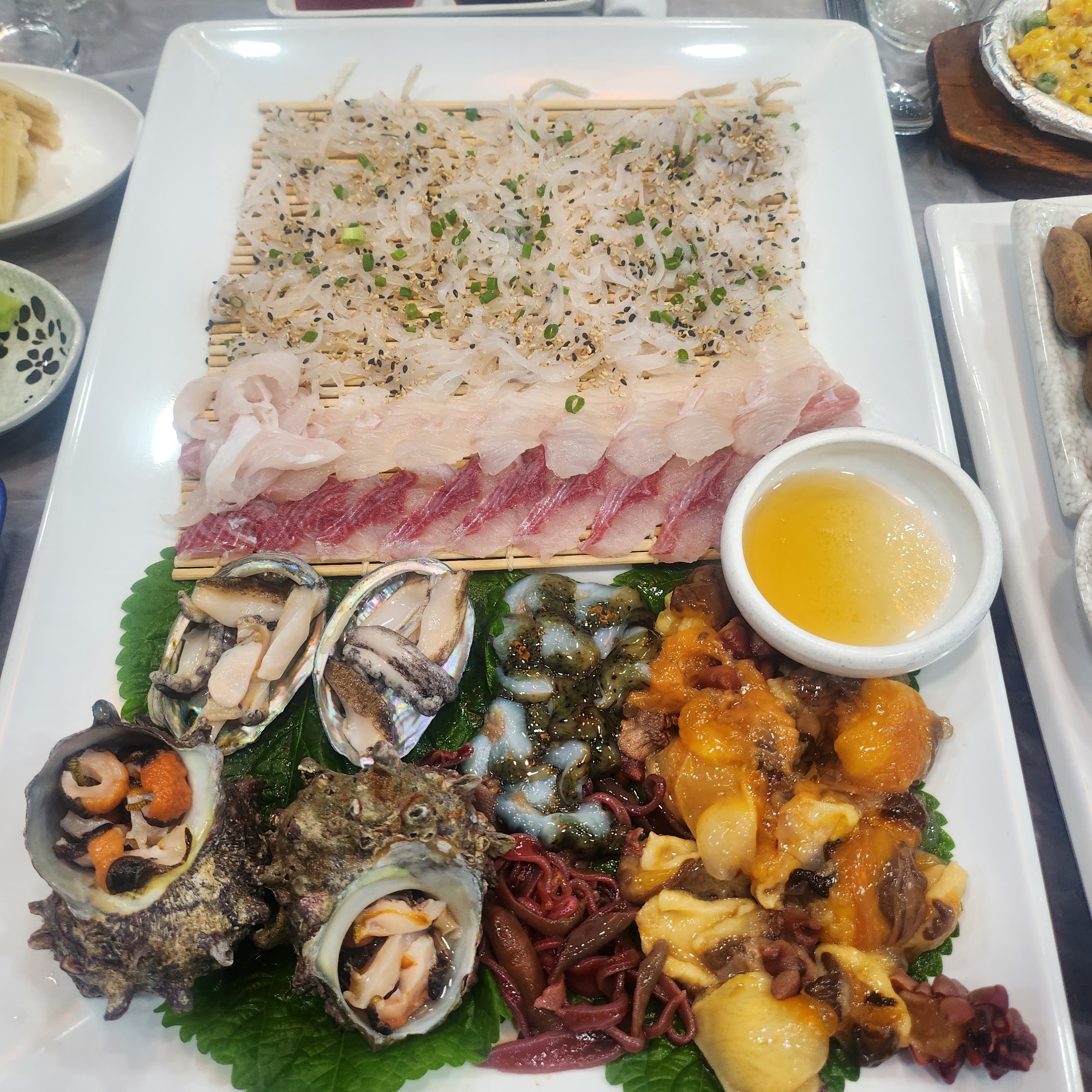 빨간산오징어