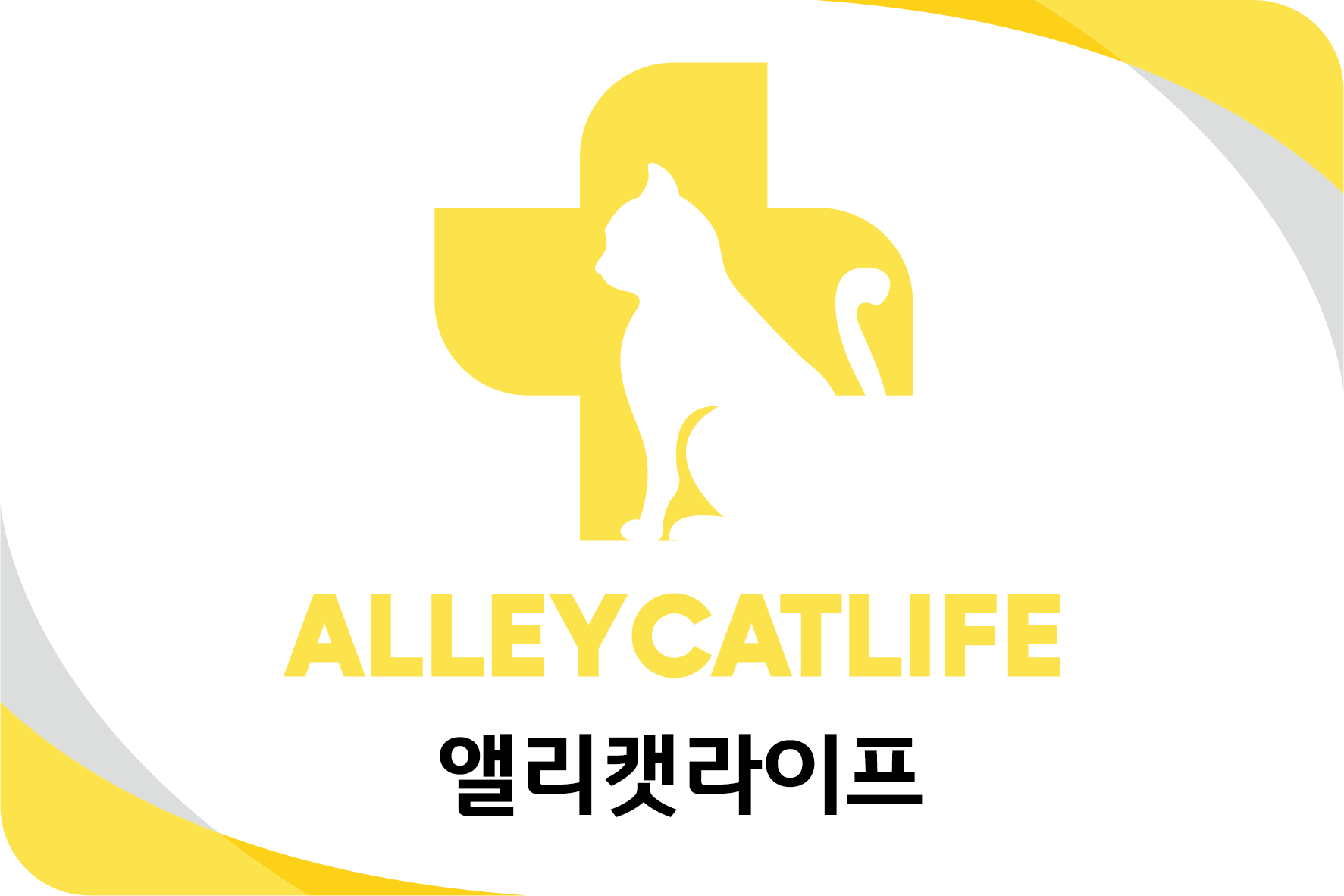 앨리캣라이프