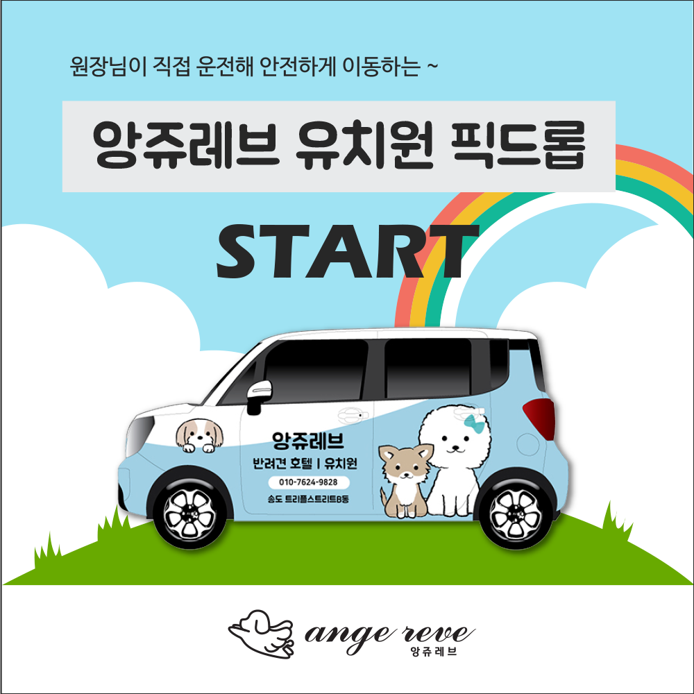 사진 2