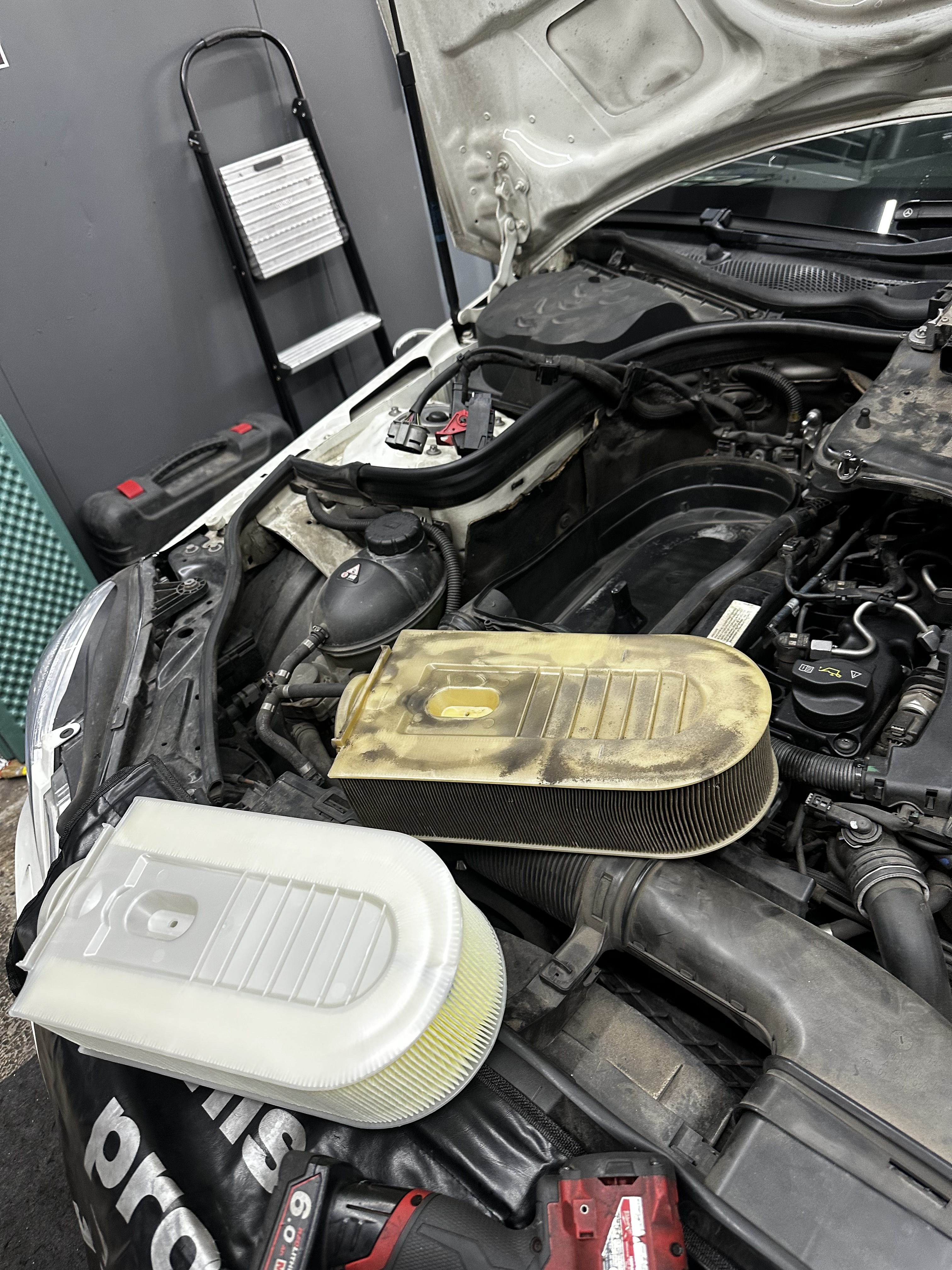 올시즌게러지 대표 이미지