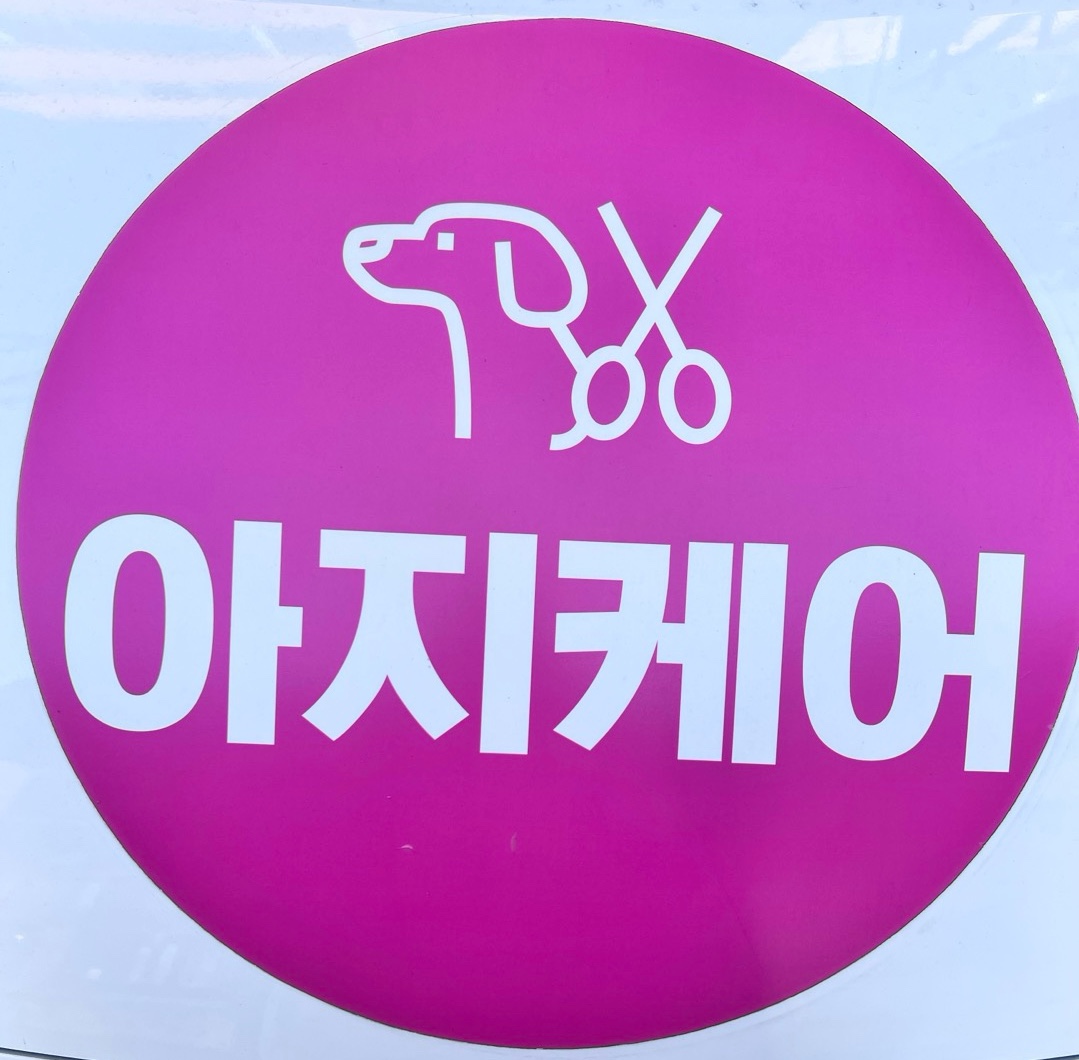 아지케어 대표 이미지