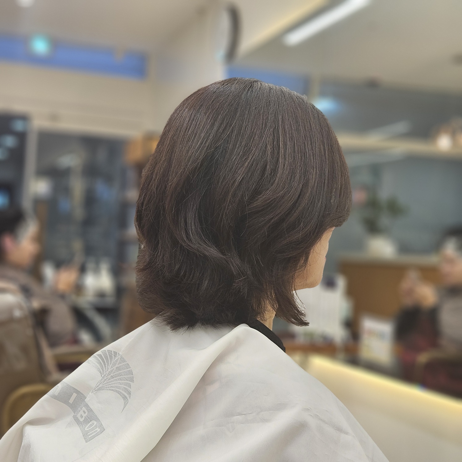 비손헤어 내부 또는 관련 모습