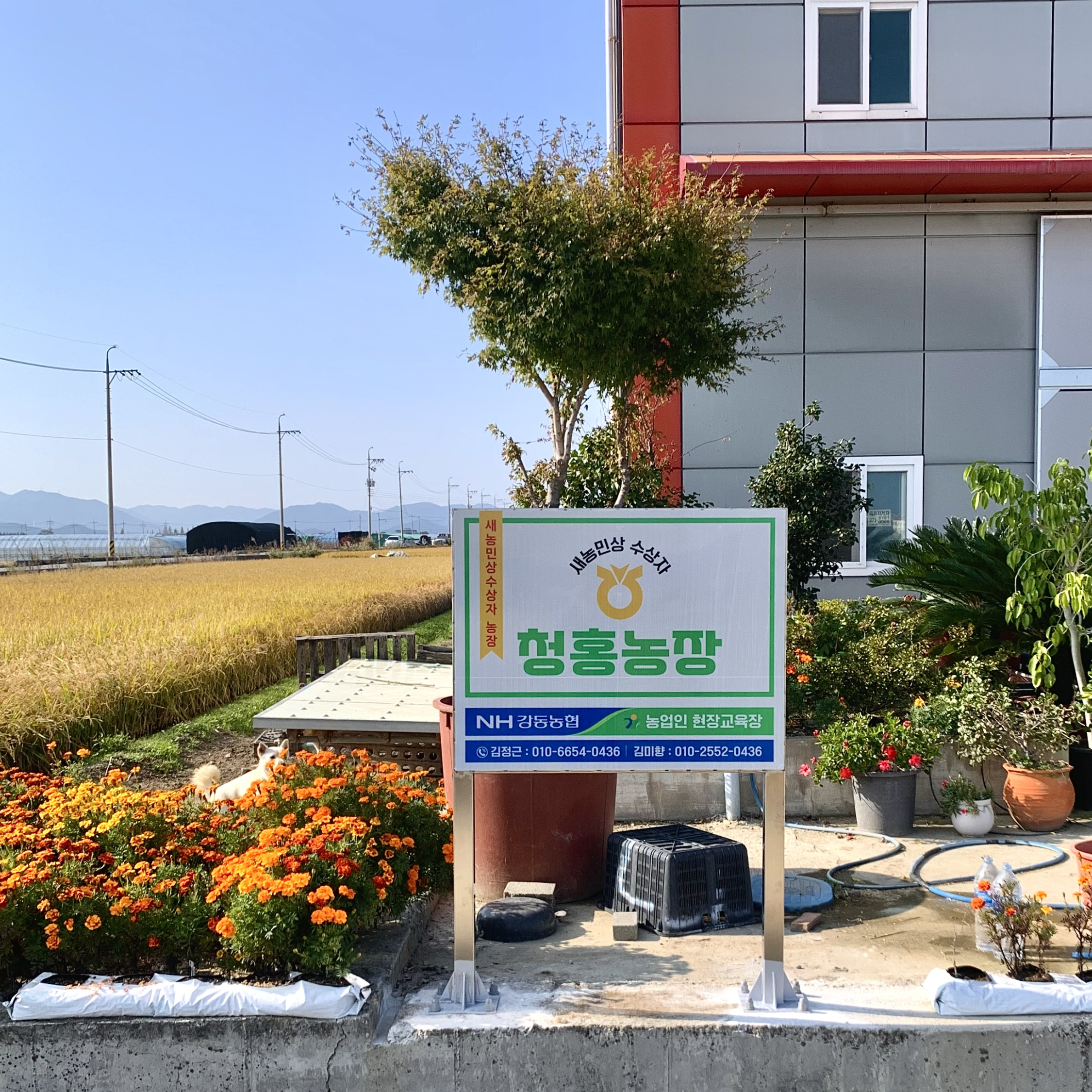 디자인드림