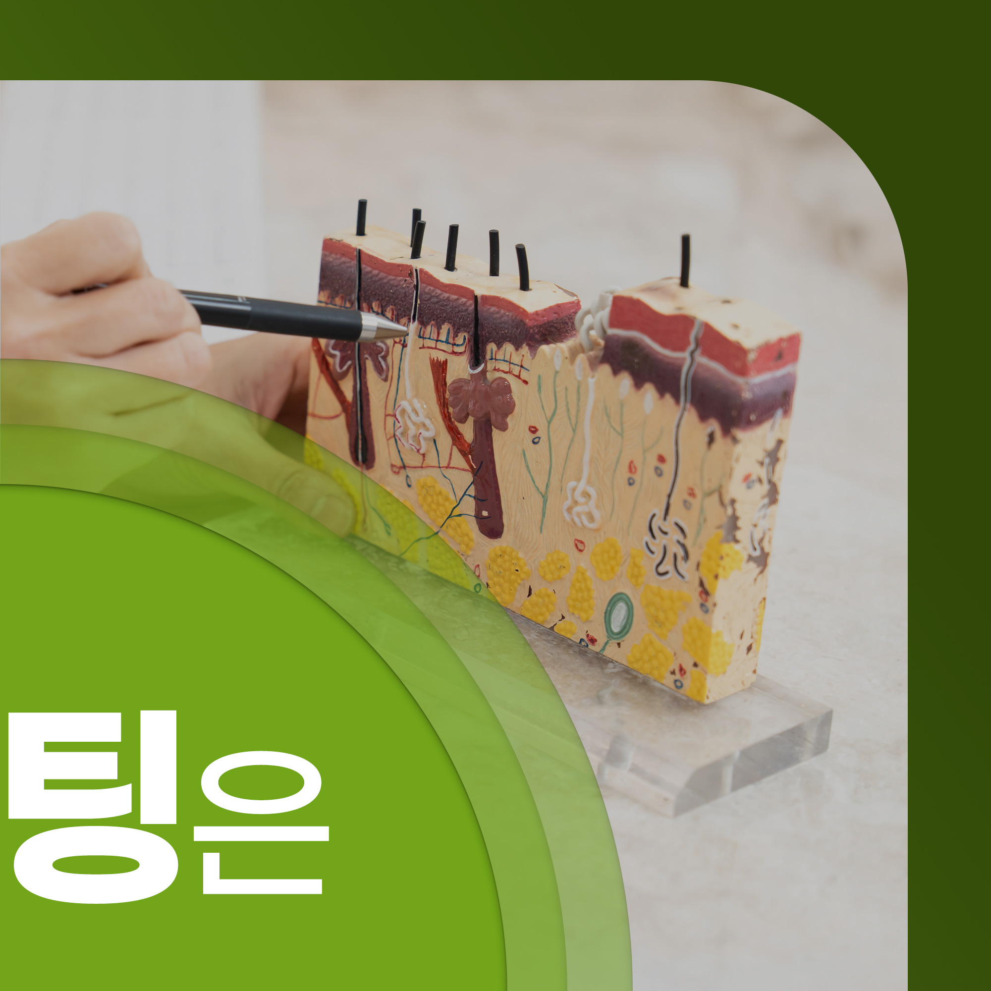 명동 리더스피부과의원 대표 이미지