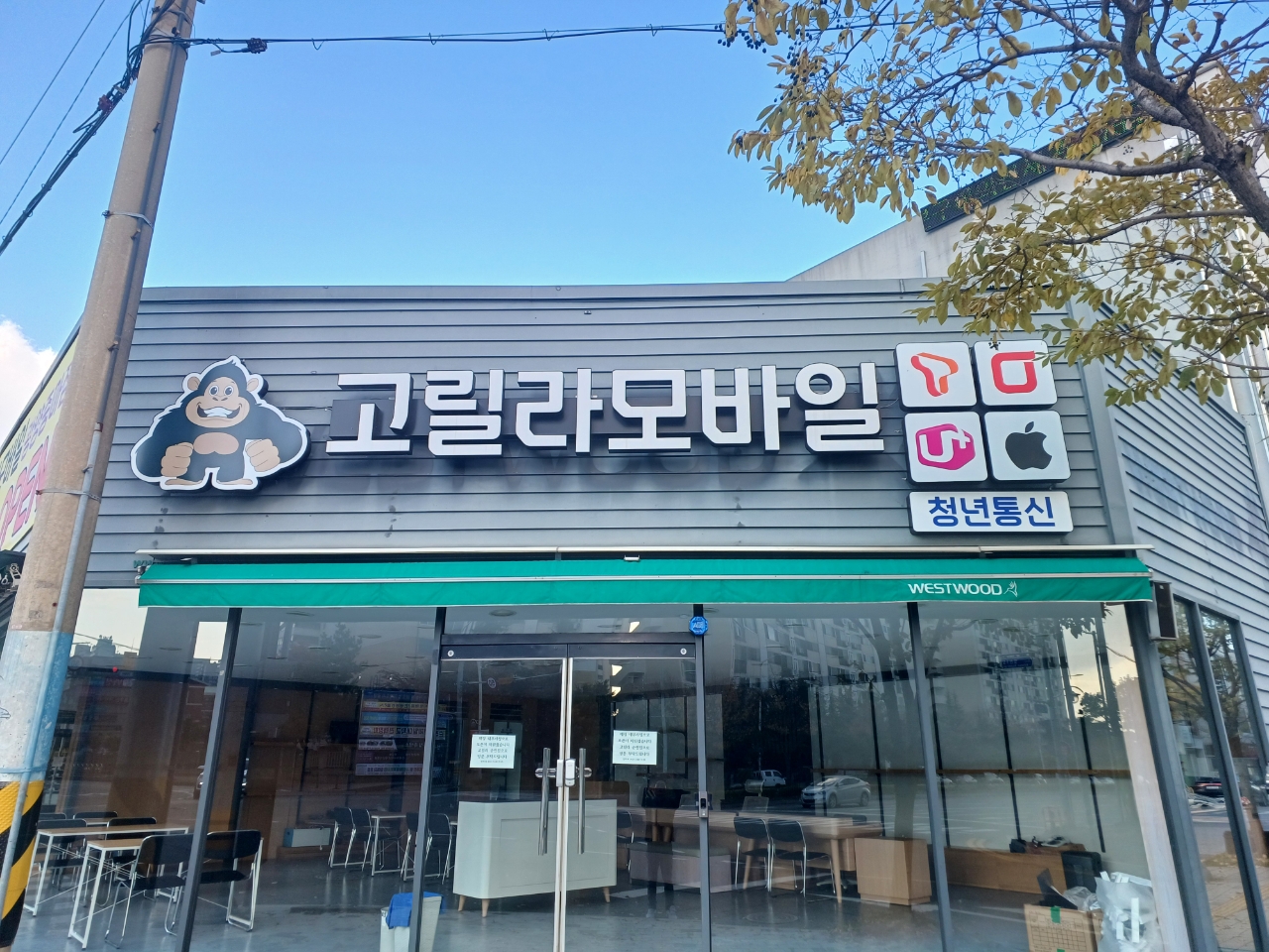 고릴라모바일 청년통신