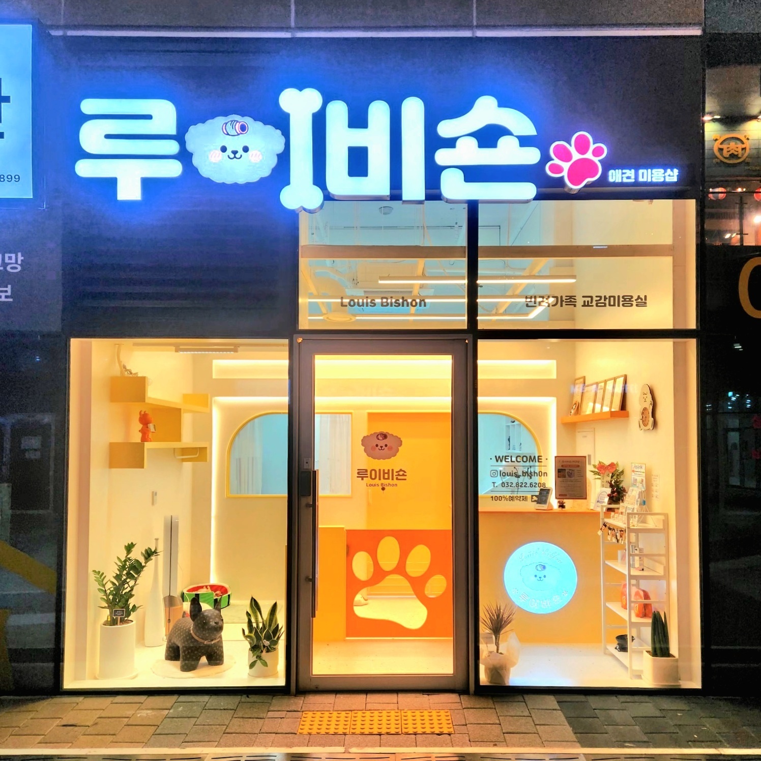 루이비숀
