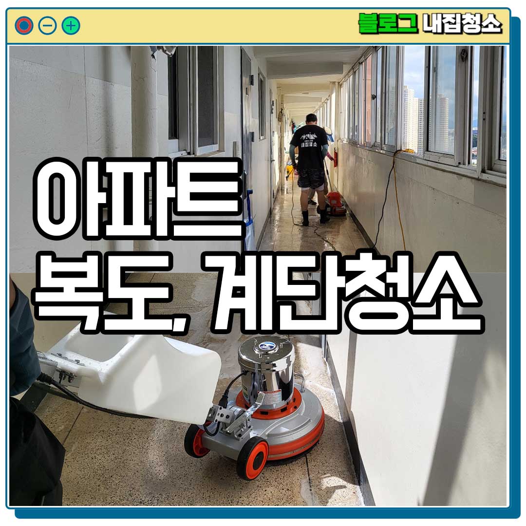 내집청소