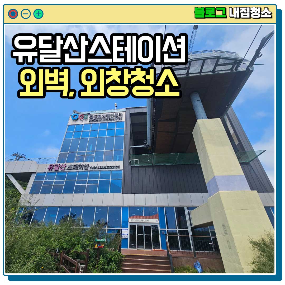 내집청소