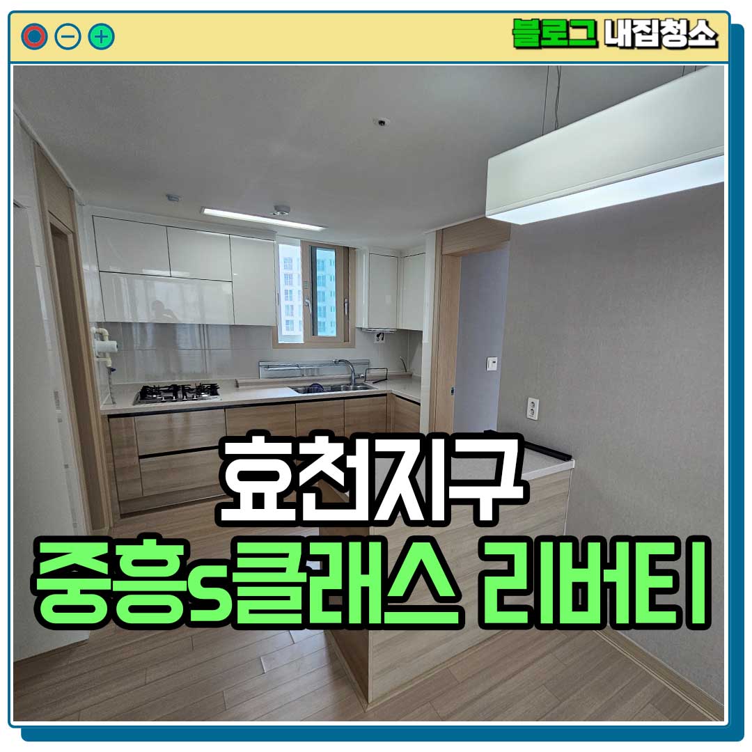 내집청소