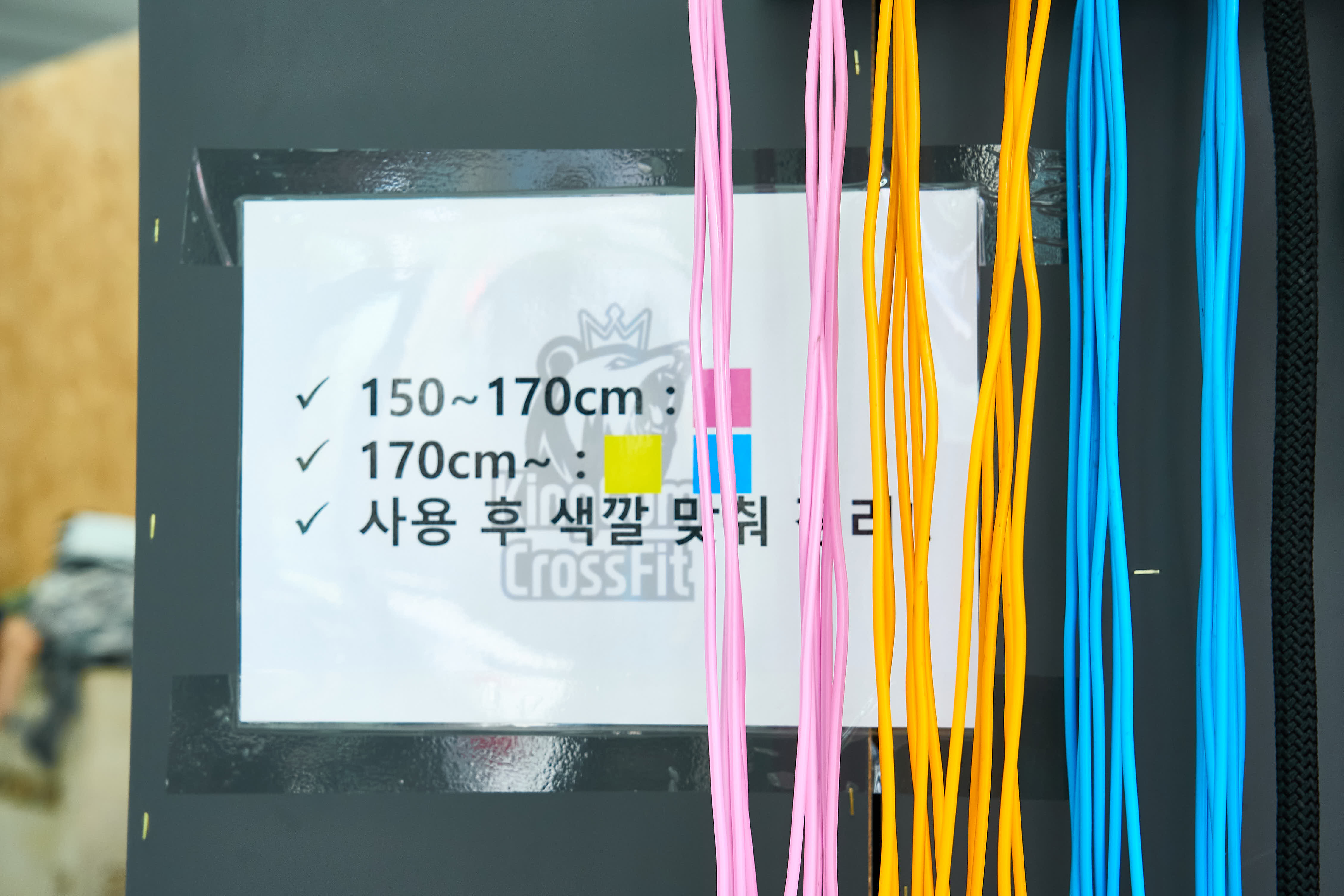크로스핏 킹곰