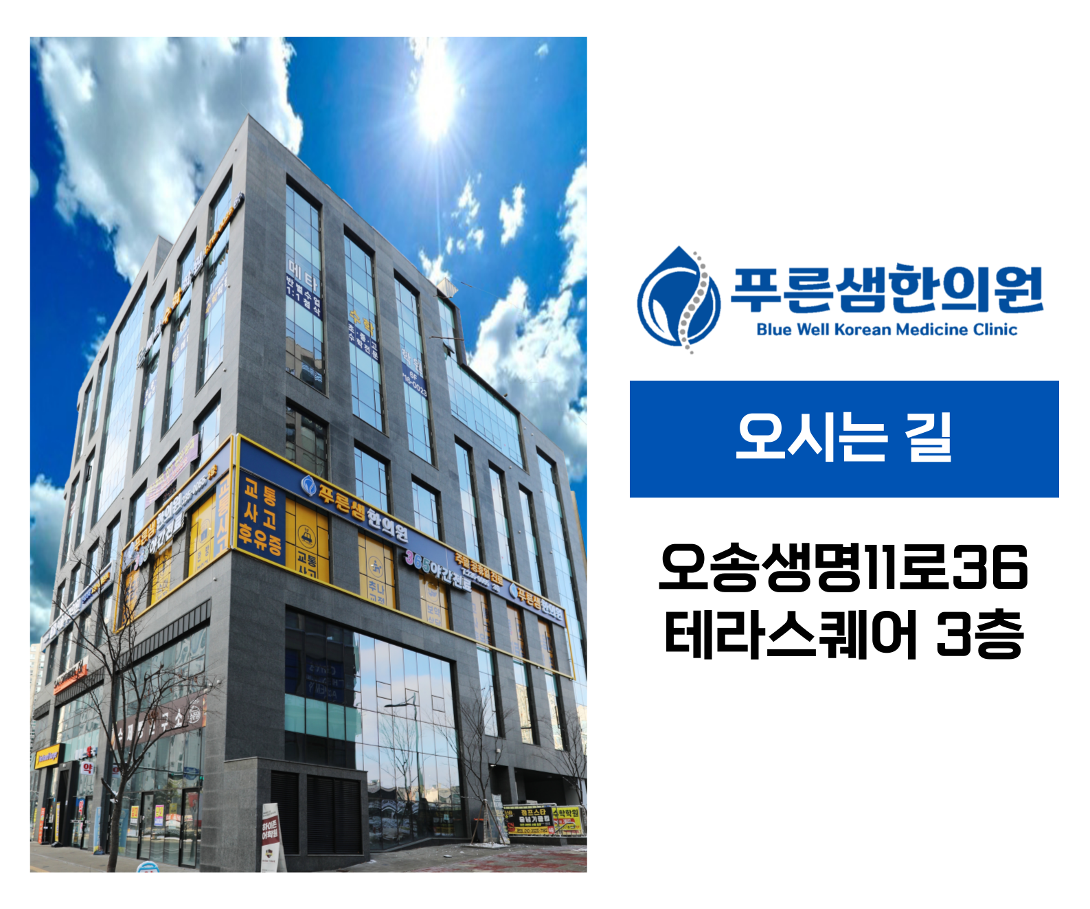 푸른샘한의원