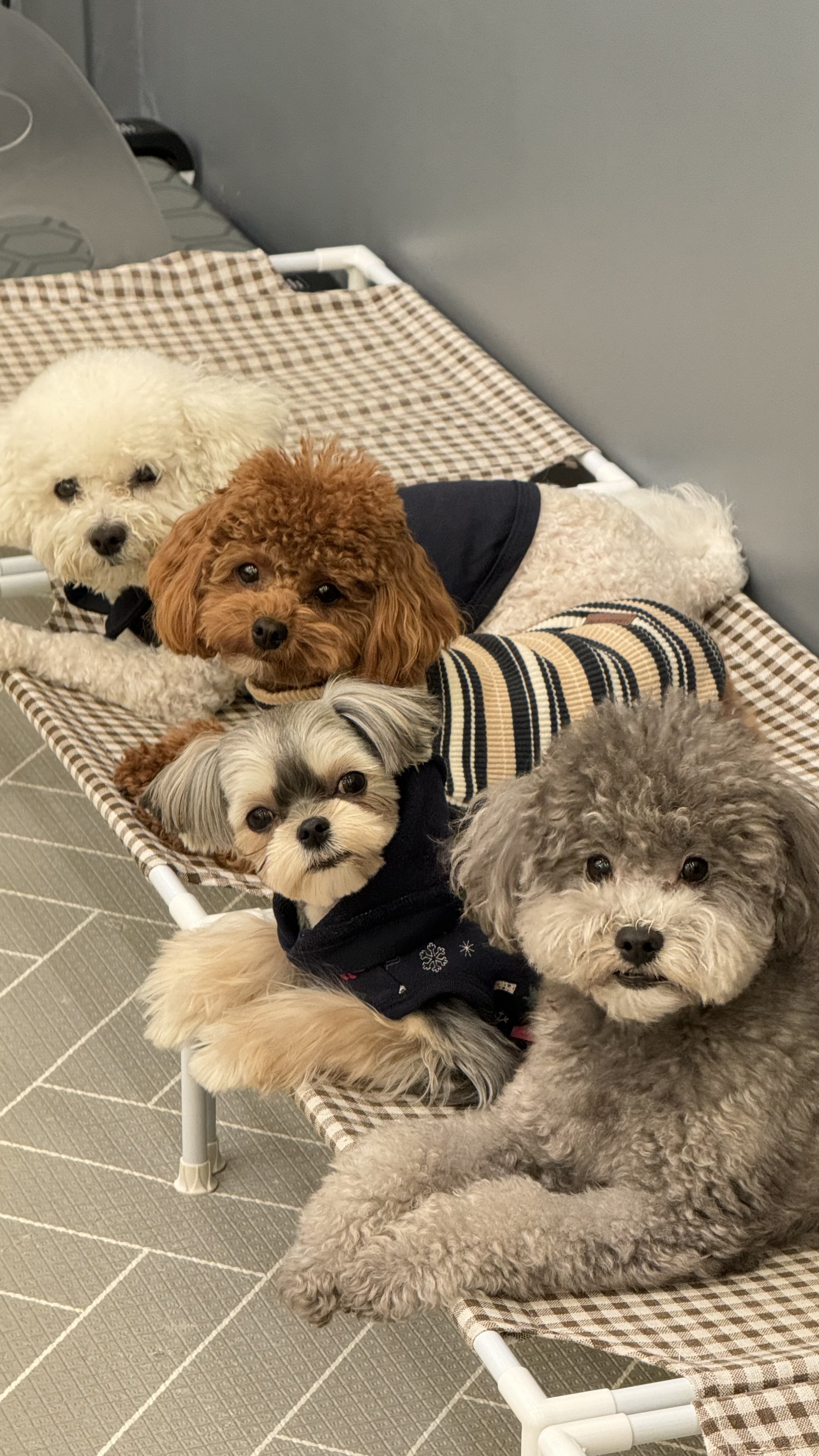 안녕네모 대표 이미지