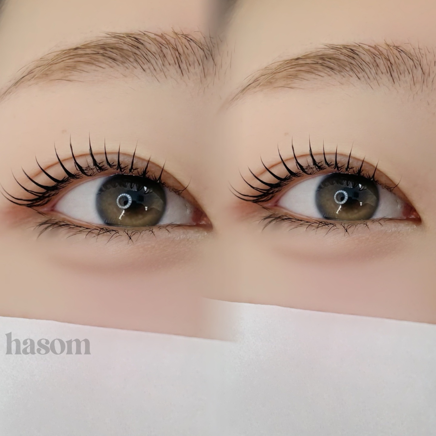 하솜래쉬 대표 이미지