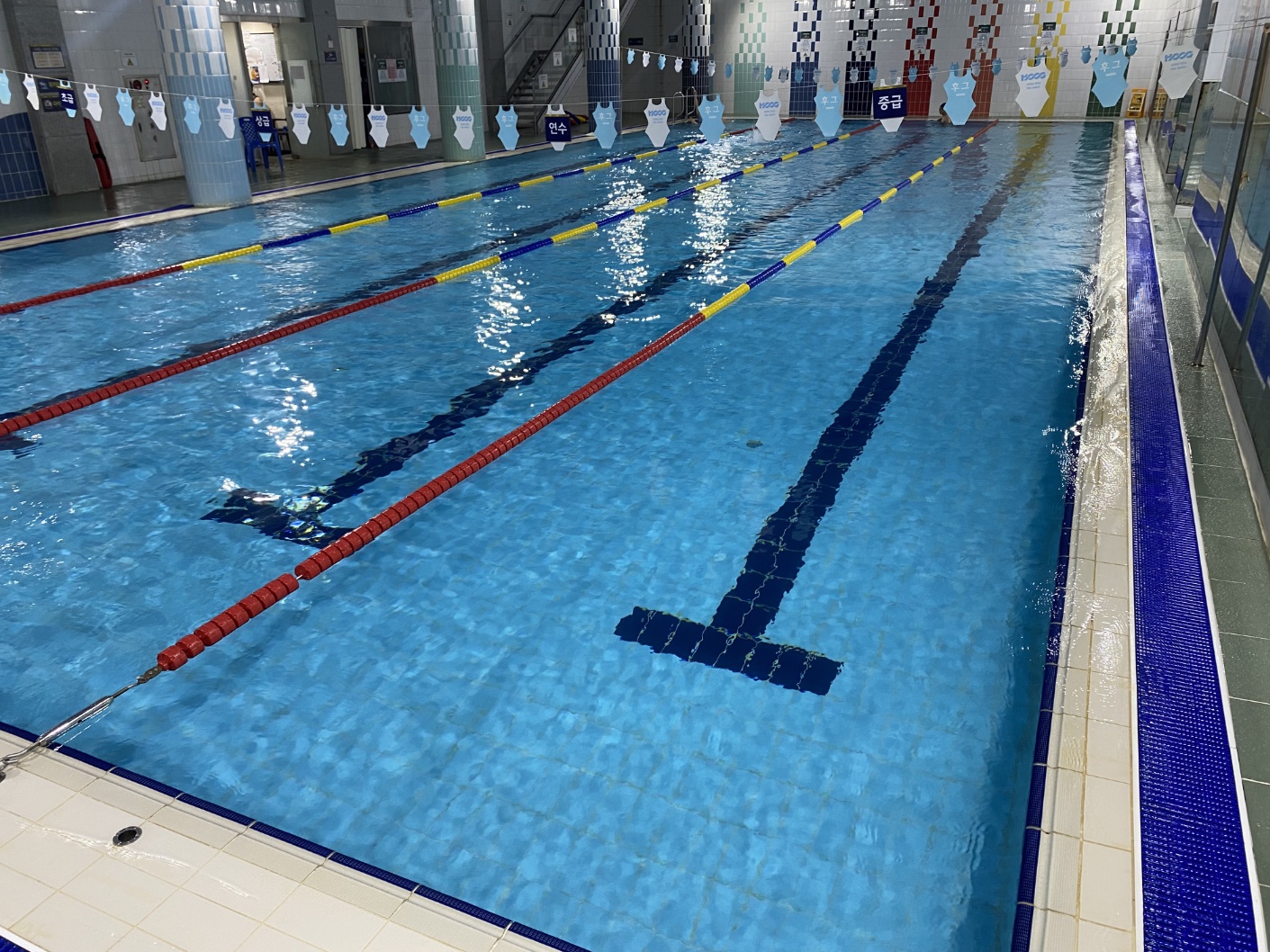 궁동종합사회복지관수영장 대표 이미지
