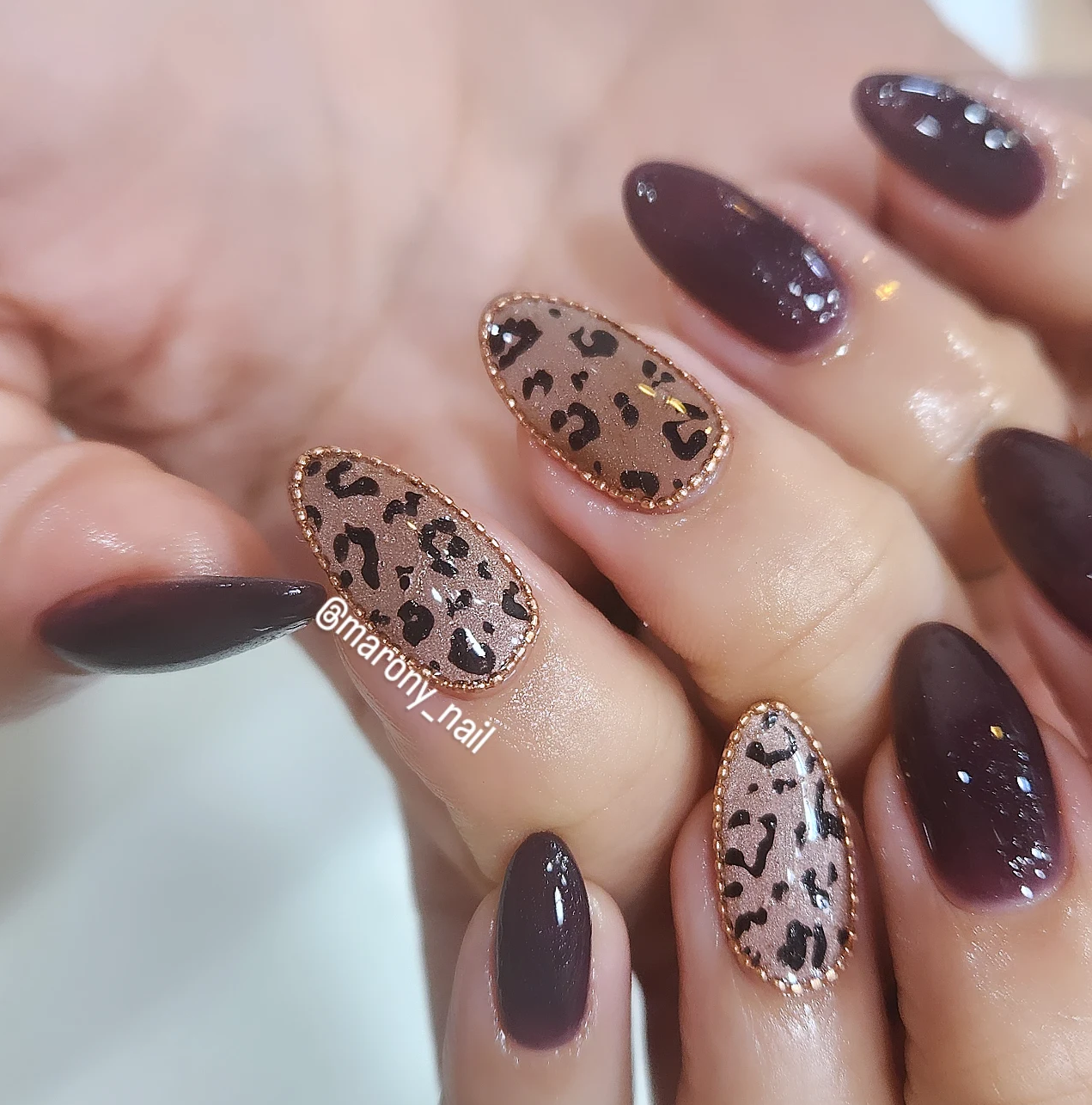 마로니네일 대표 이미지