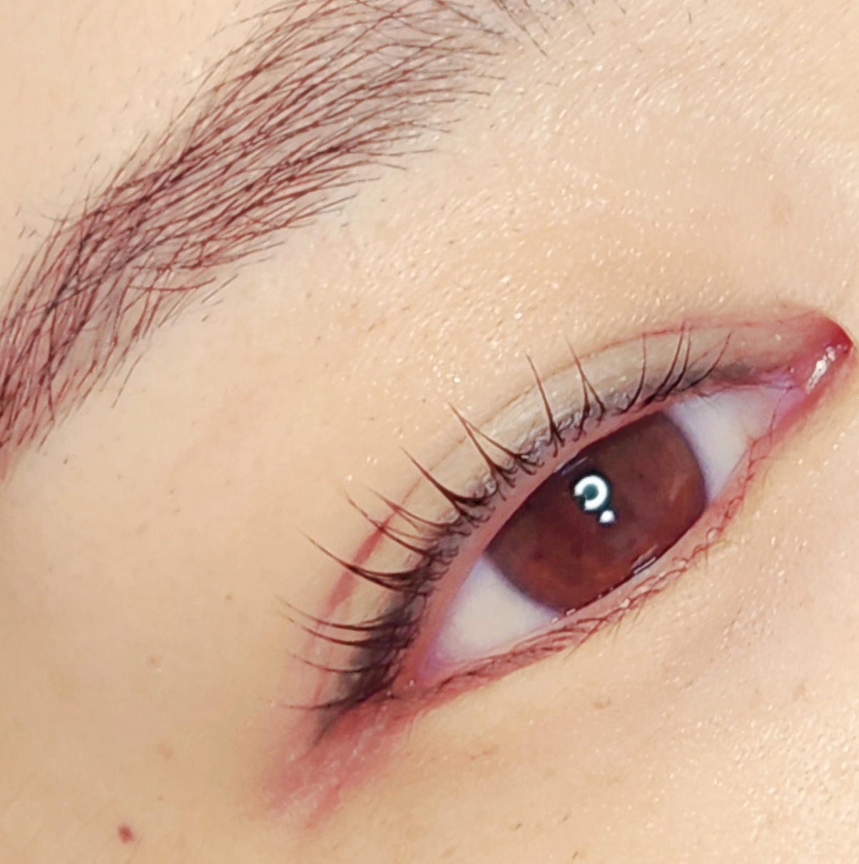 마로니네일 대표 이미지