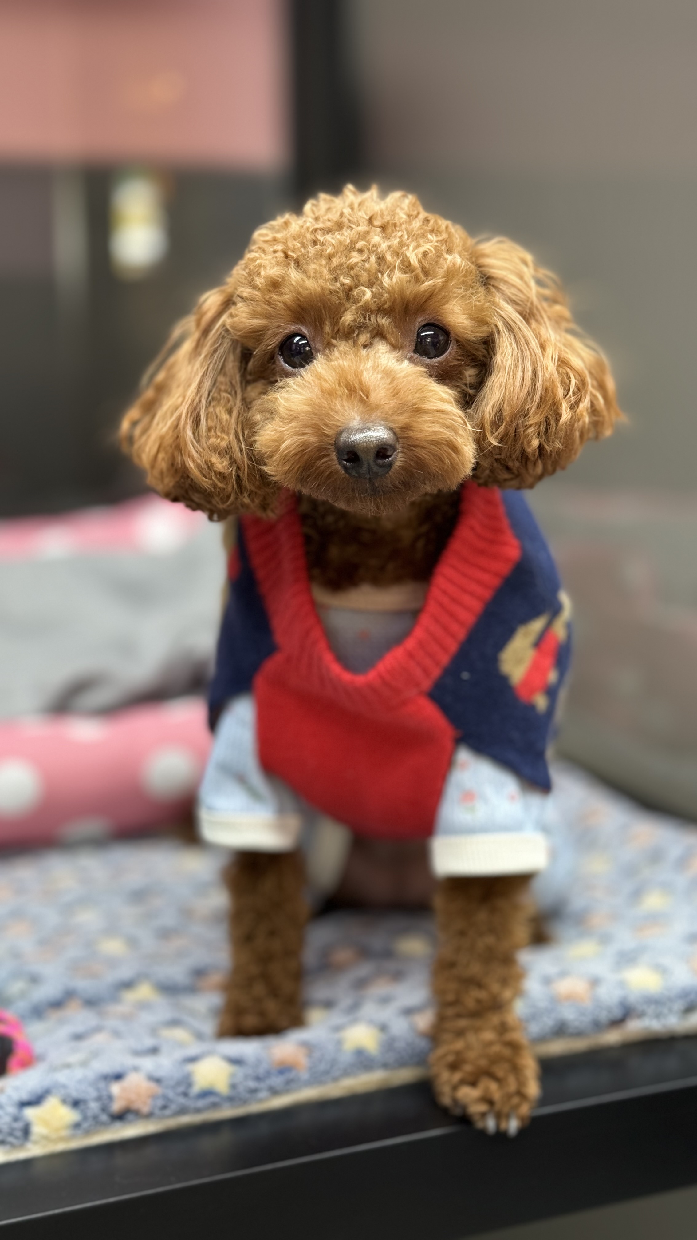 안녕네모 대표 이미지