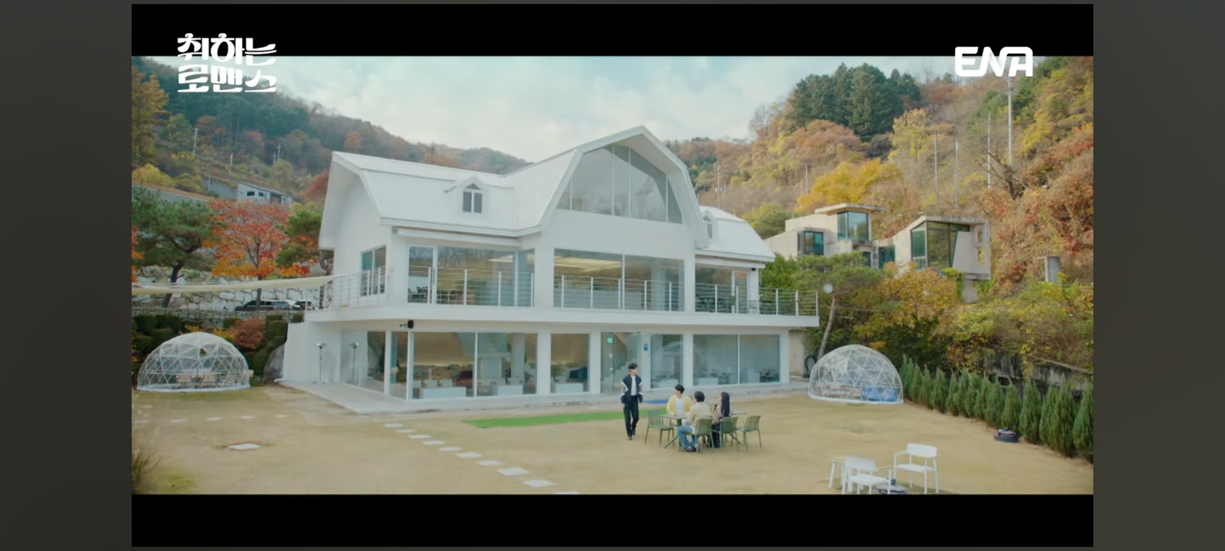 더강 반려동물 동반 애견카페