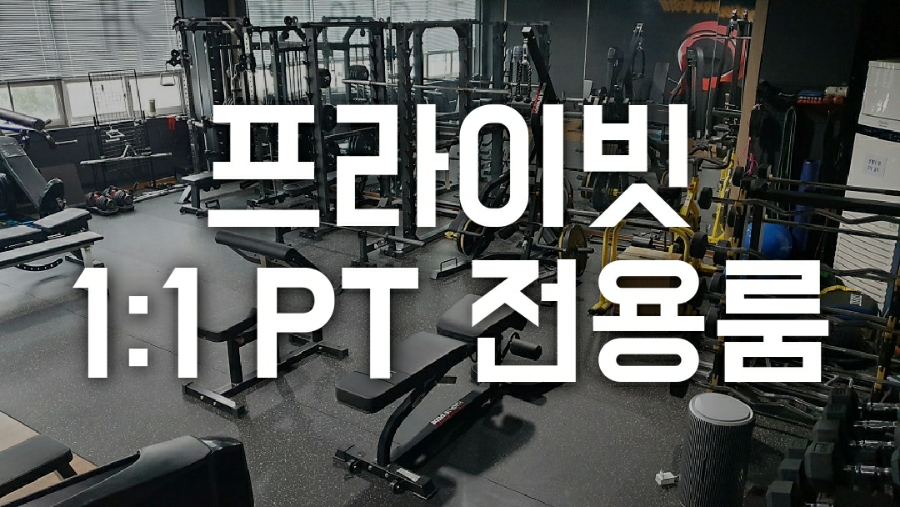 스타휘트니스