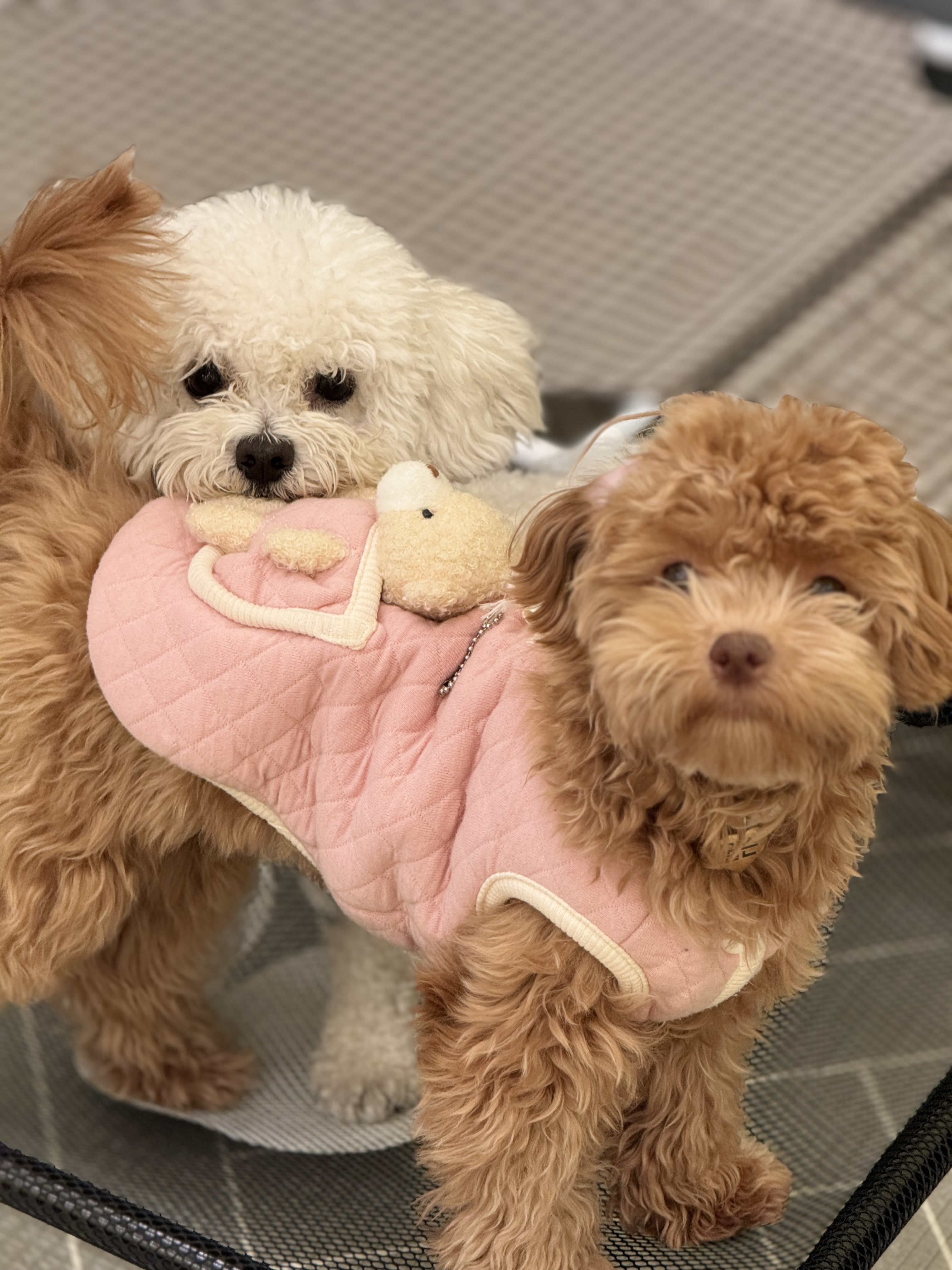 안녕네모 대표 이미지