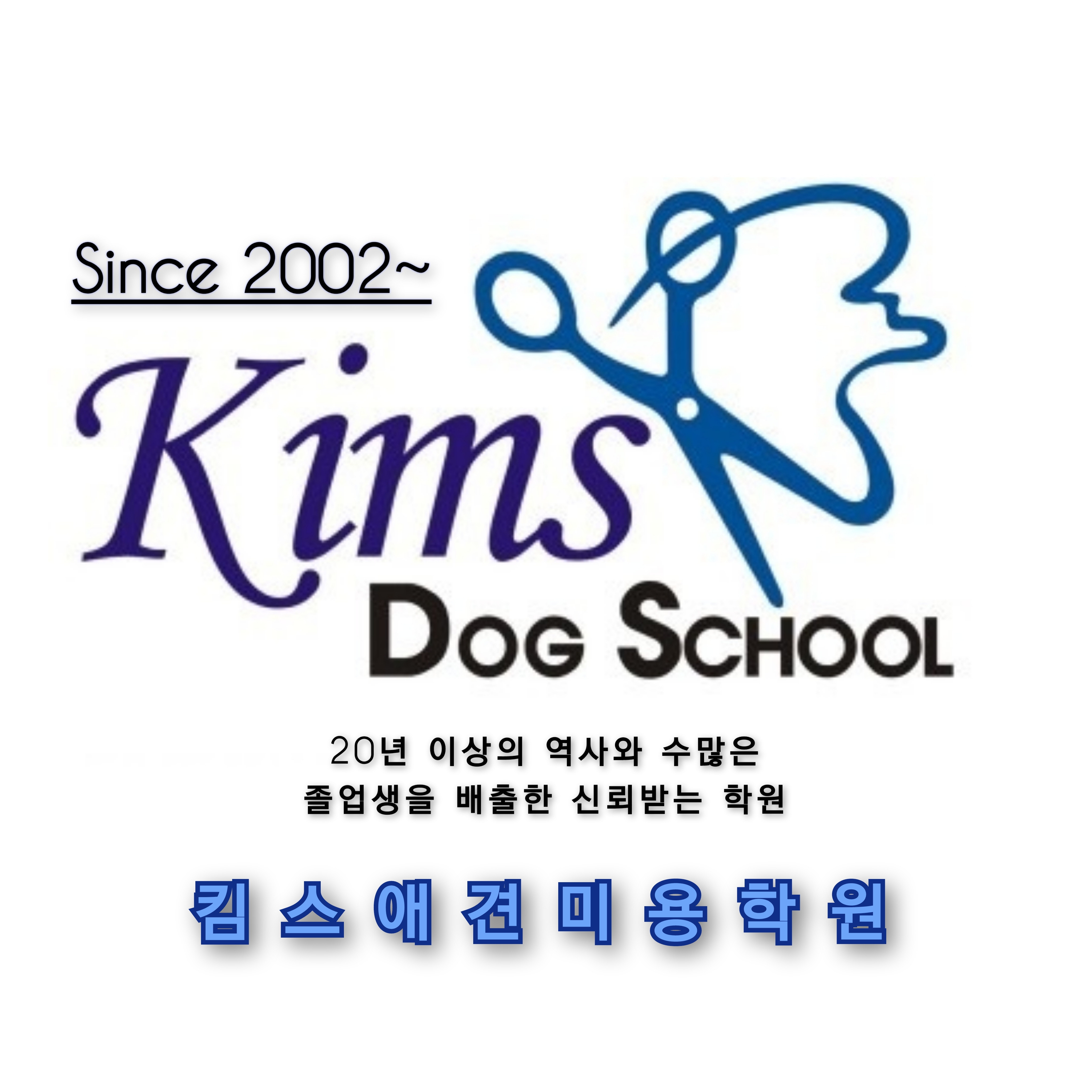 킴스애견미용학원 대표 이미지