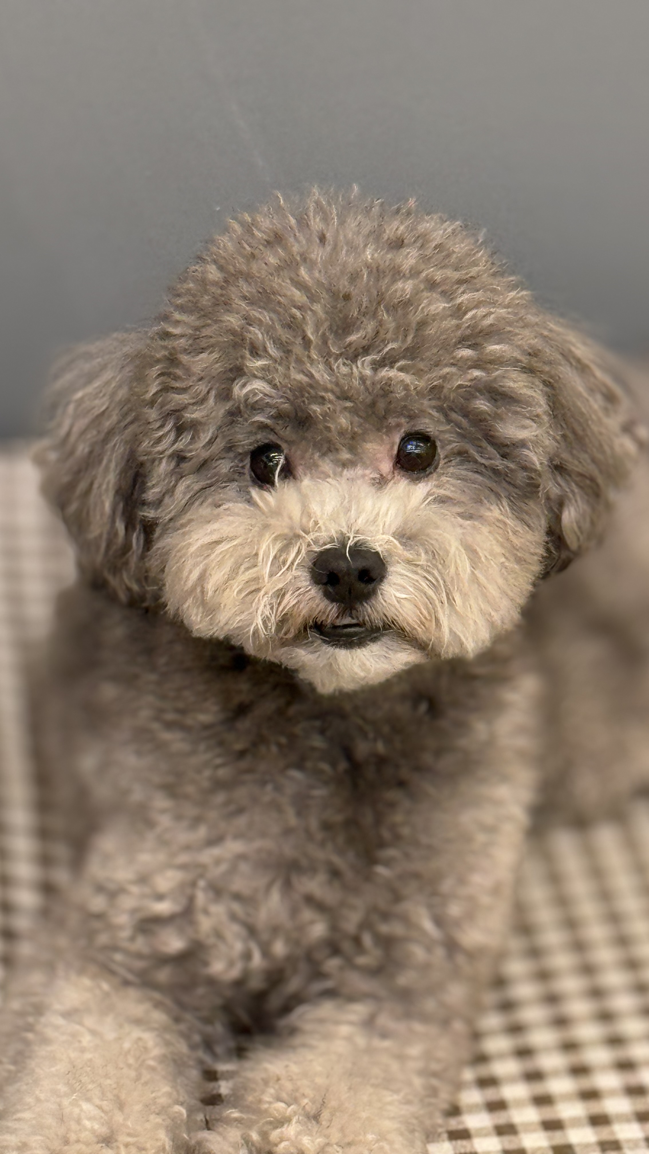 안녕네모 대표 이미지