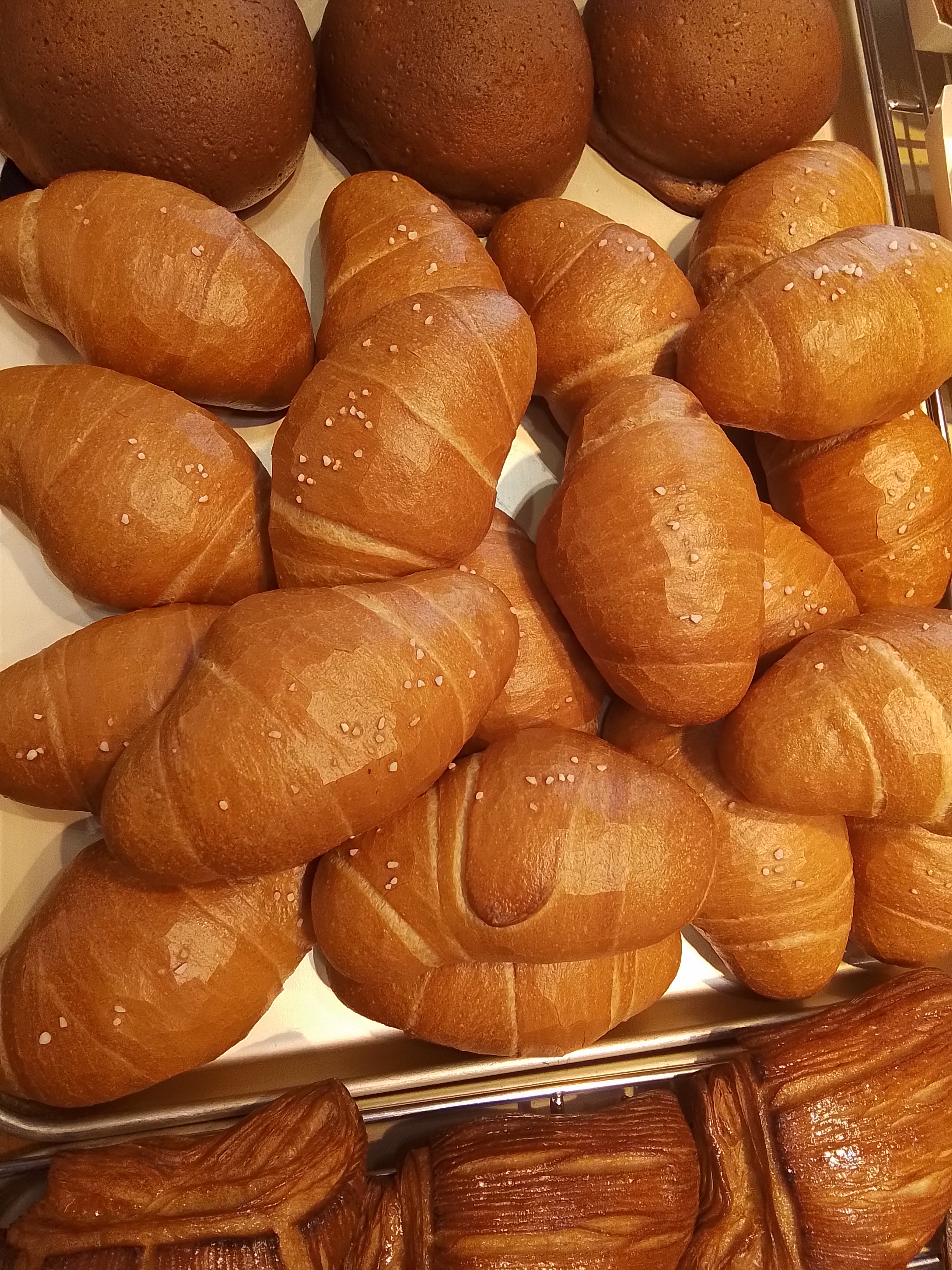 빵나무 이야기