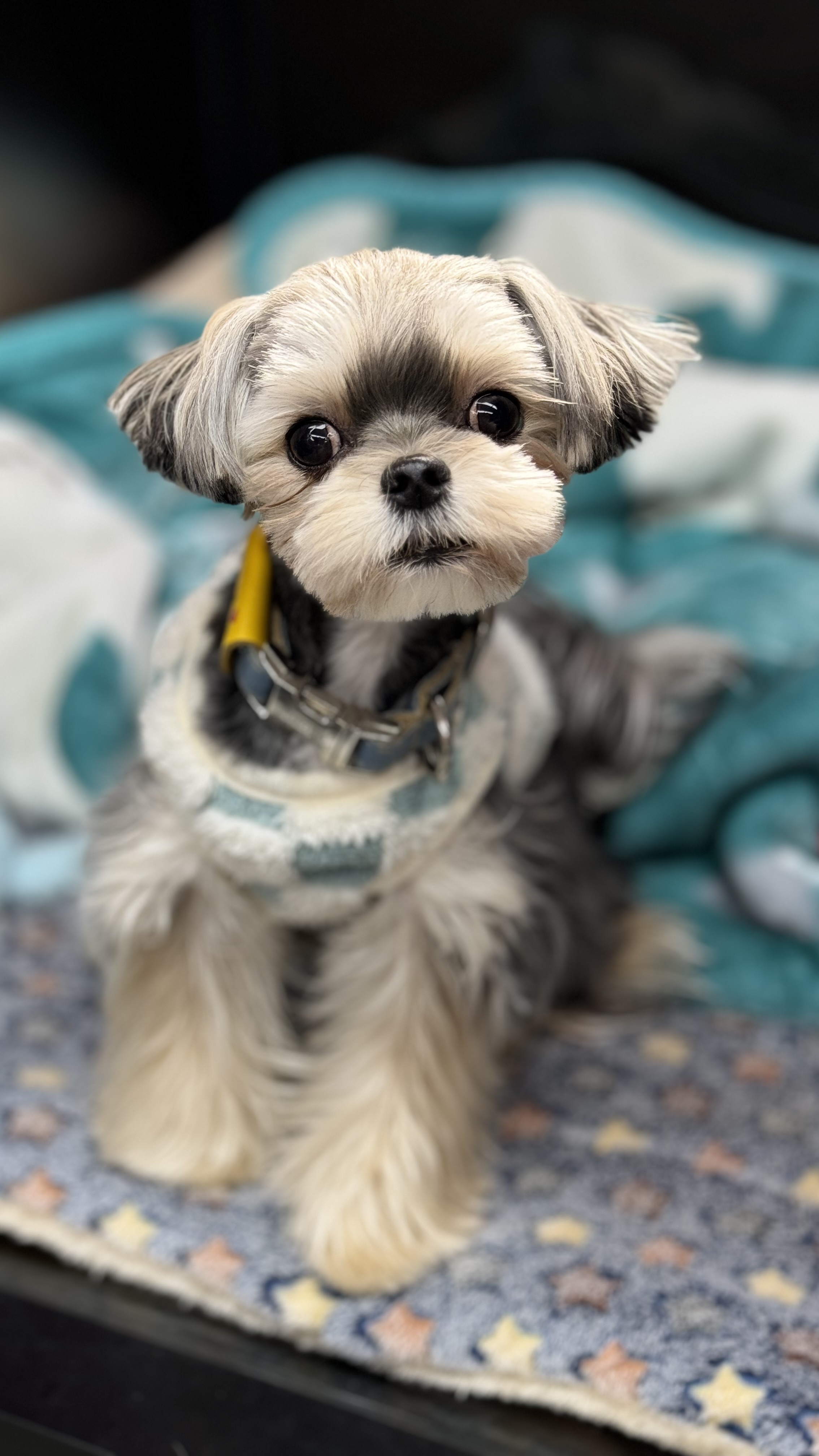 안녕네모 대표 이미지