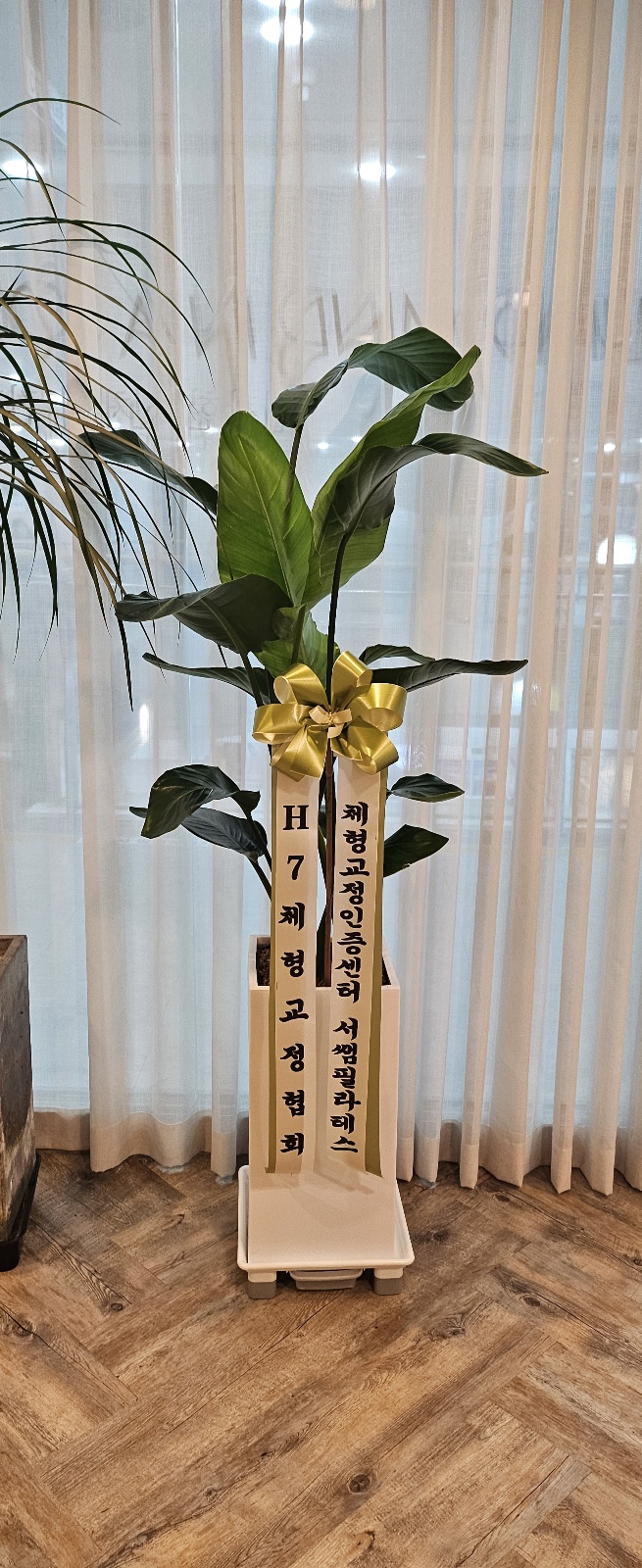 서쌤필라테스&체형교정 대표 이미지