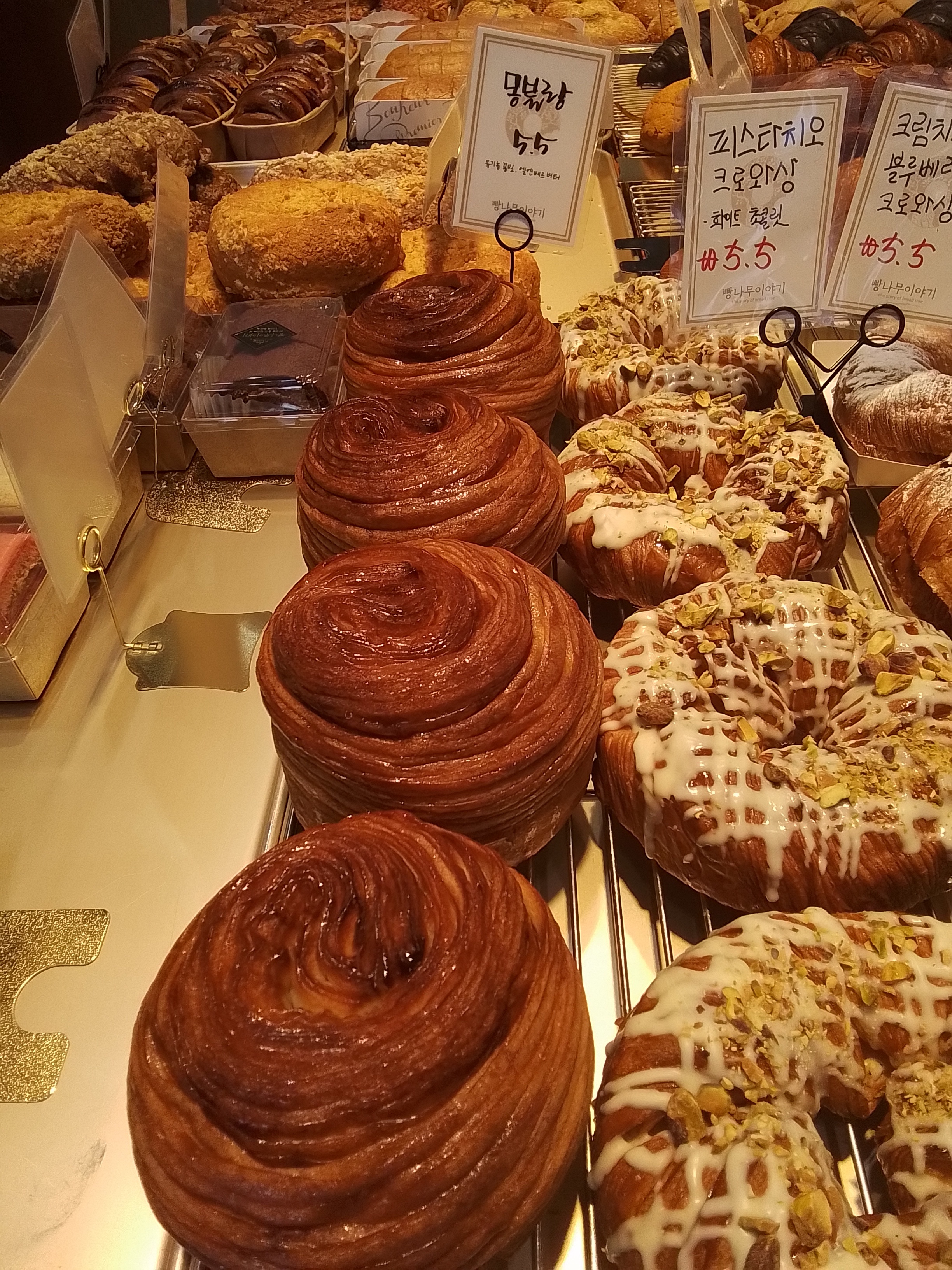 빵나무 이야기