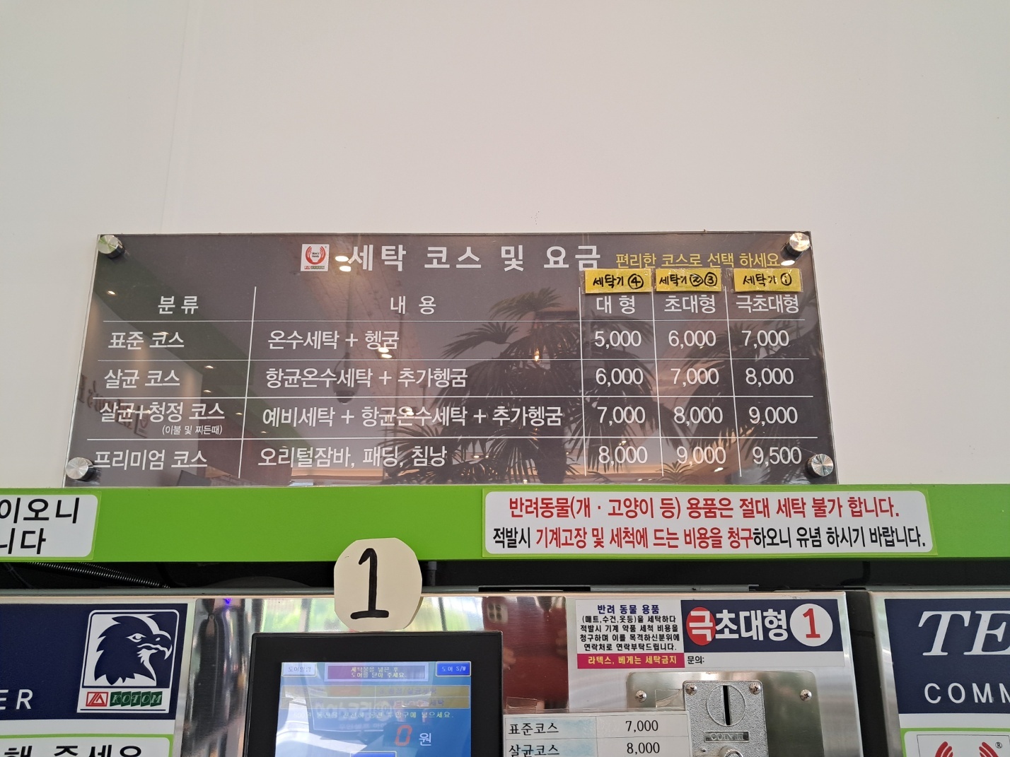 맘스핸즈 동해쇄운점