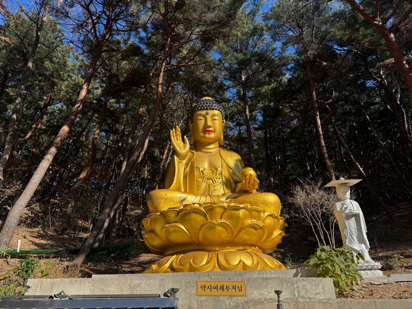 지장정사