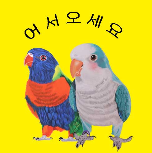 앵무세상