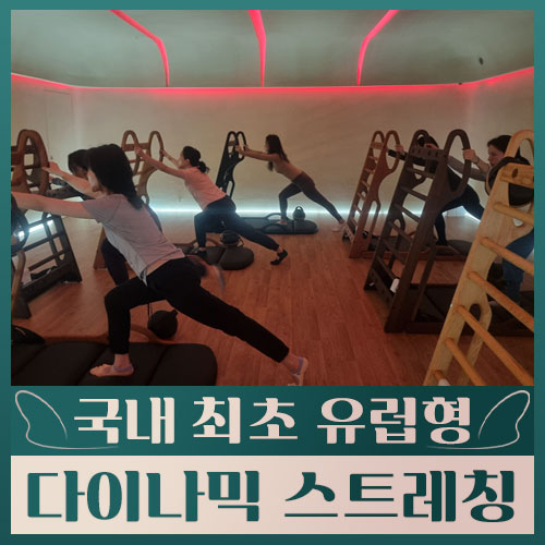 엘라스코 스트레칭 남부터미널점 대표 이미지