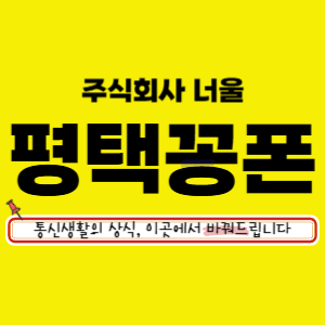 평택꽁폰